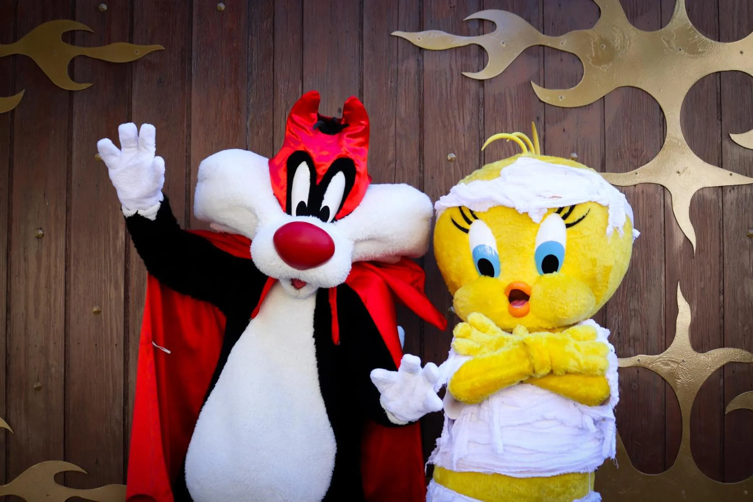 Entertainment in Hotel Holiday Inn Express Madrid-Rivas by IHG