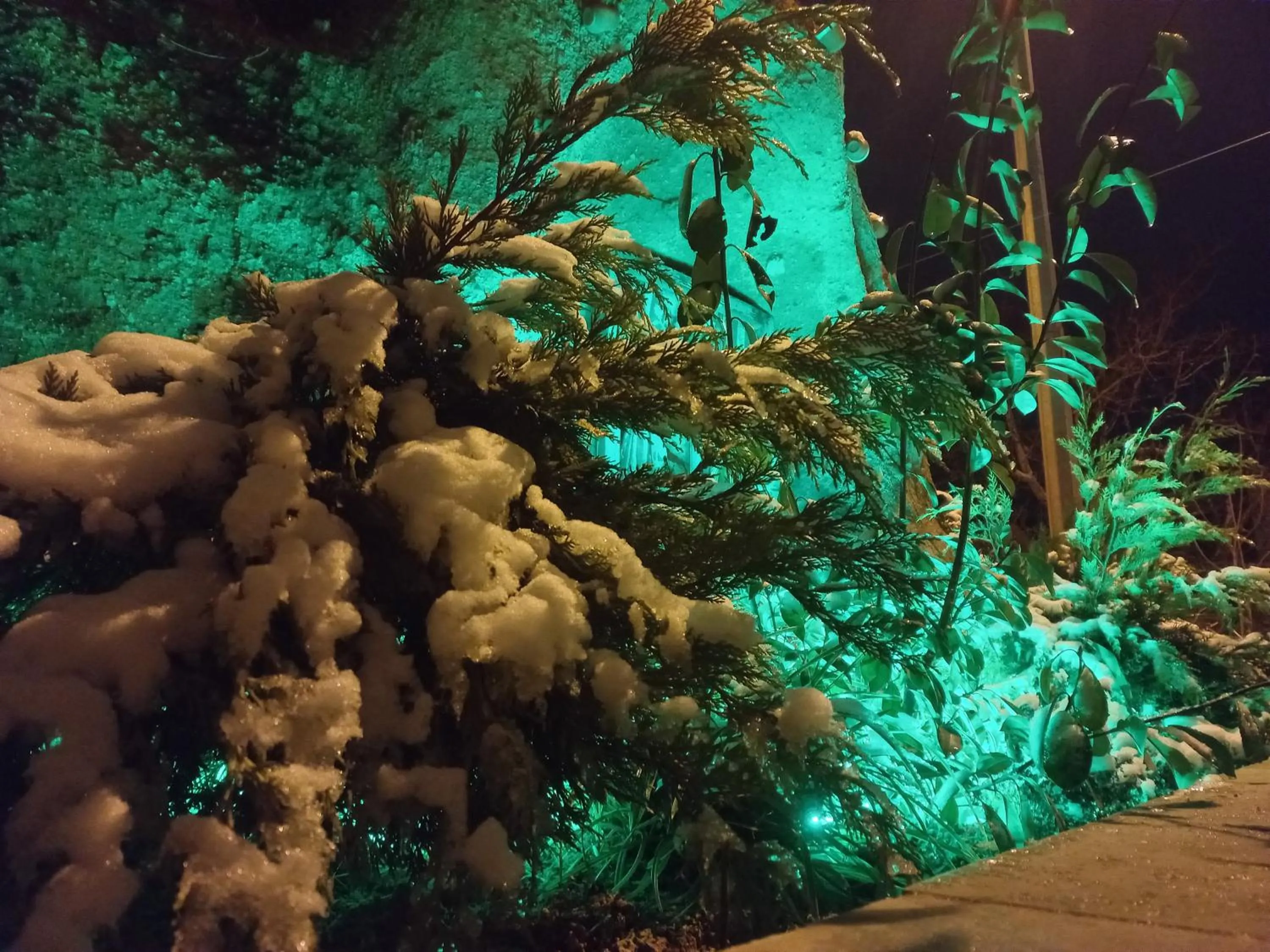 Garden in Shiraz Cave Cappadocia