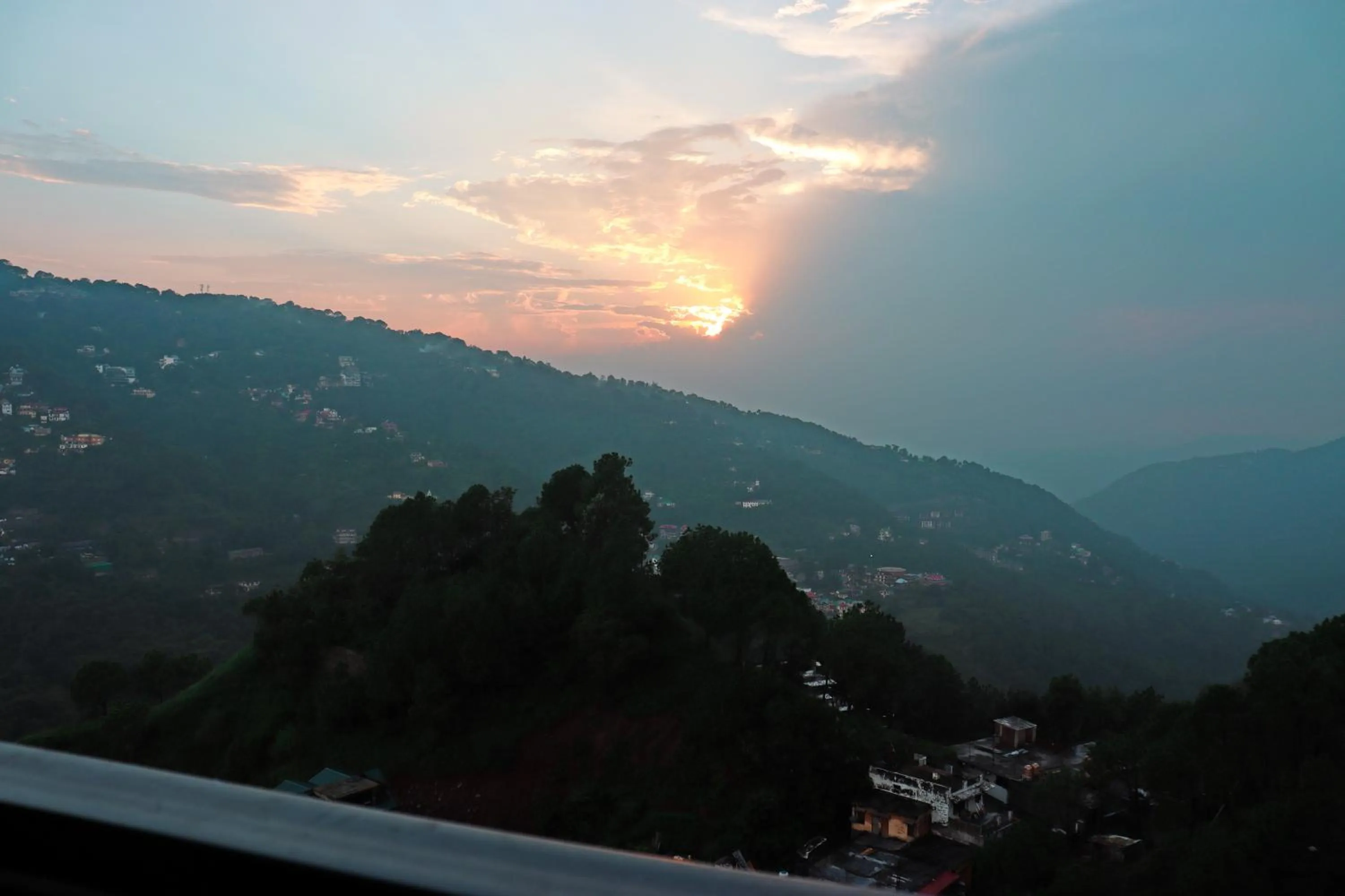 Rosetum Kasauli