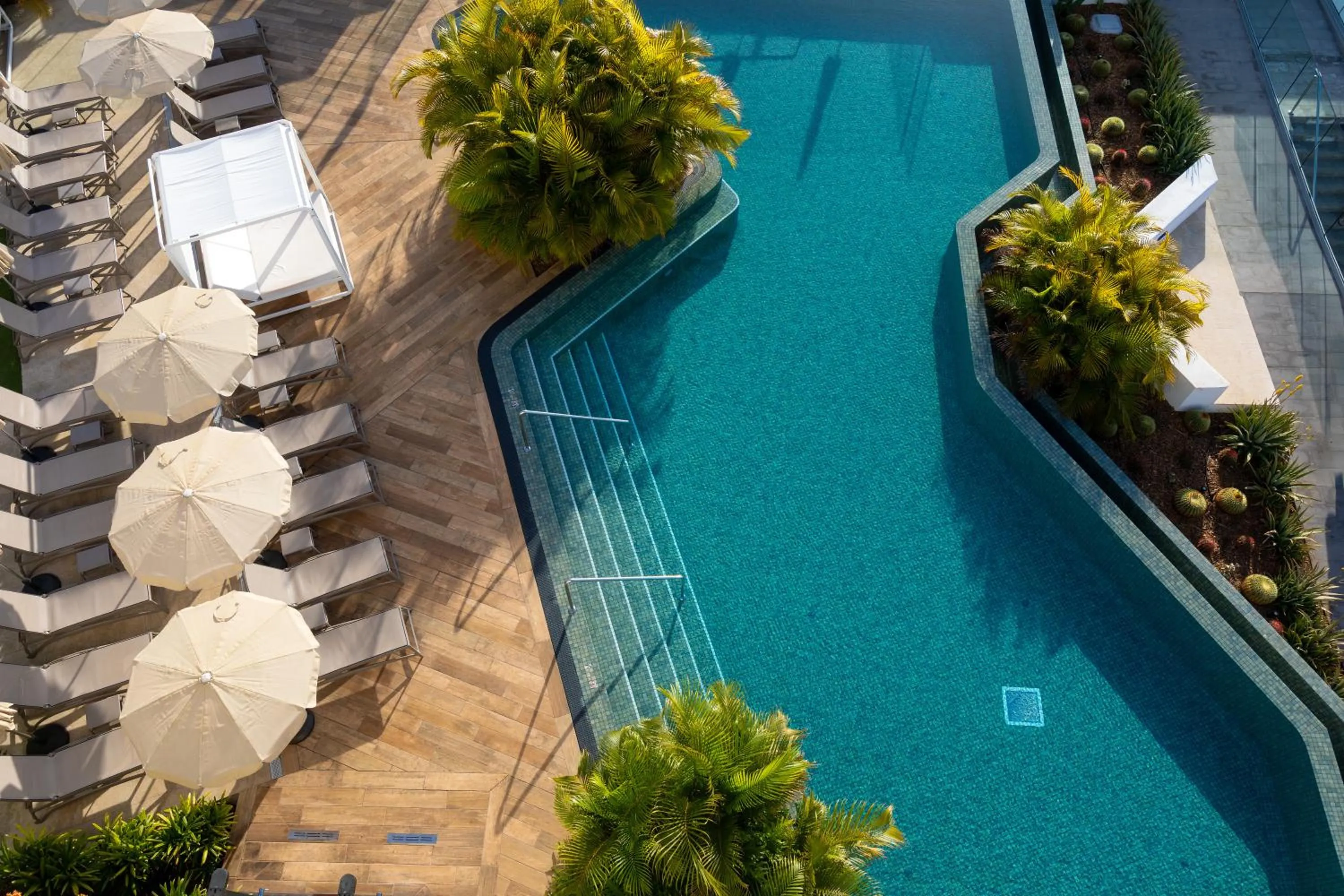 Swimming pool in Alexandre Troya