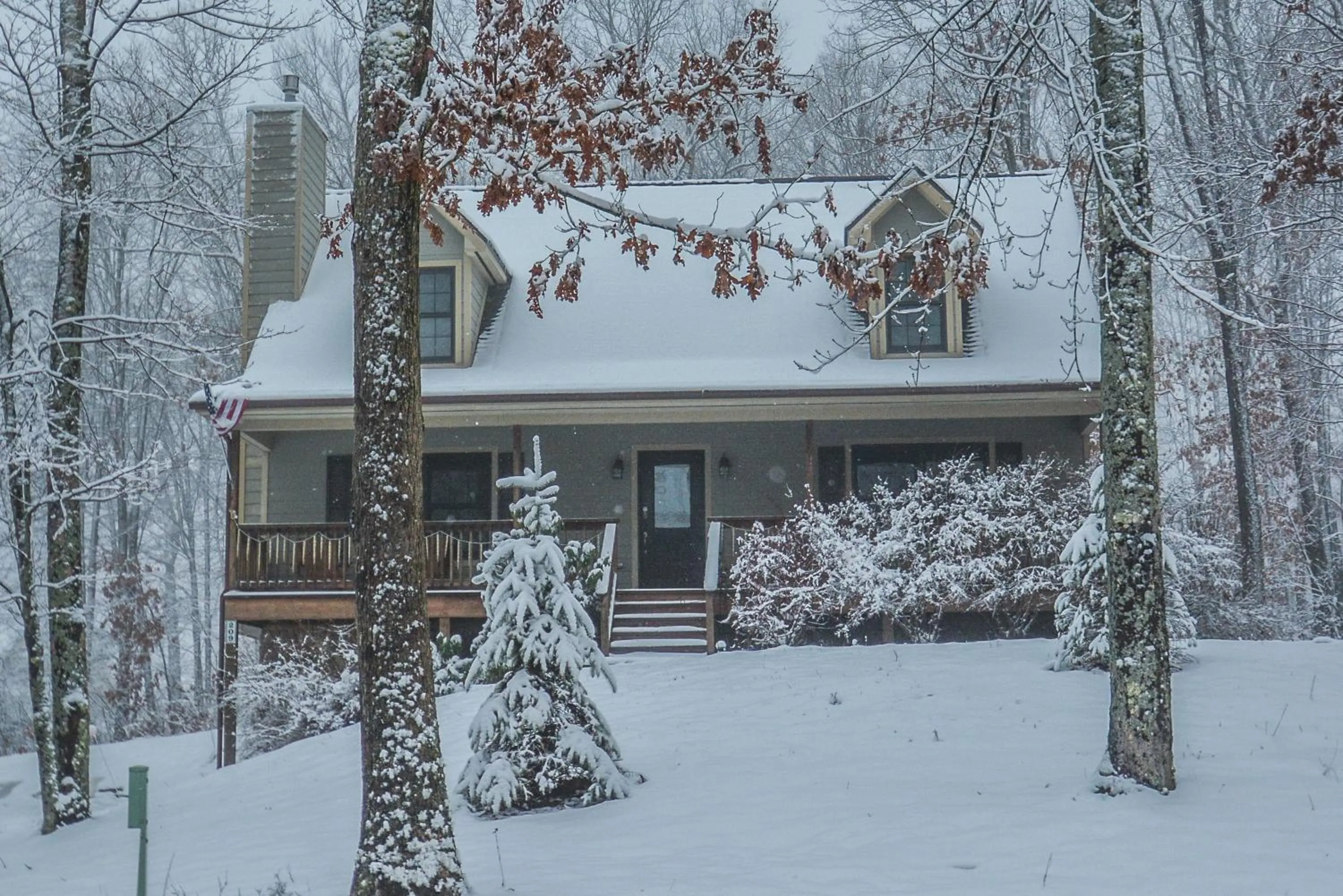 Property building in Sparkys Lodge