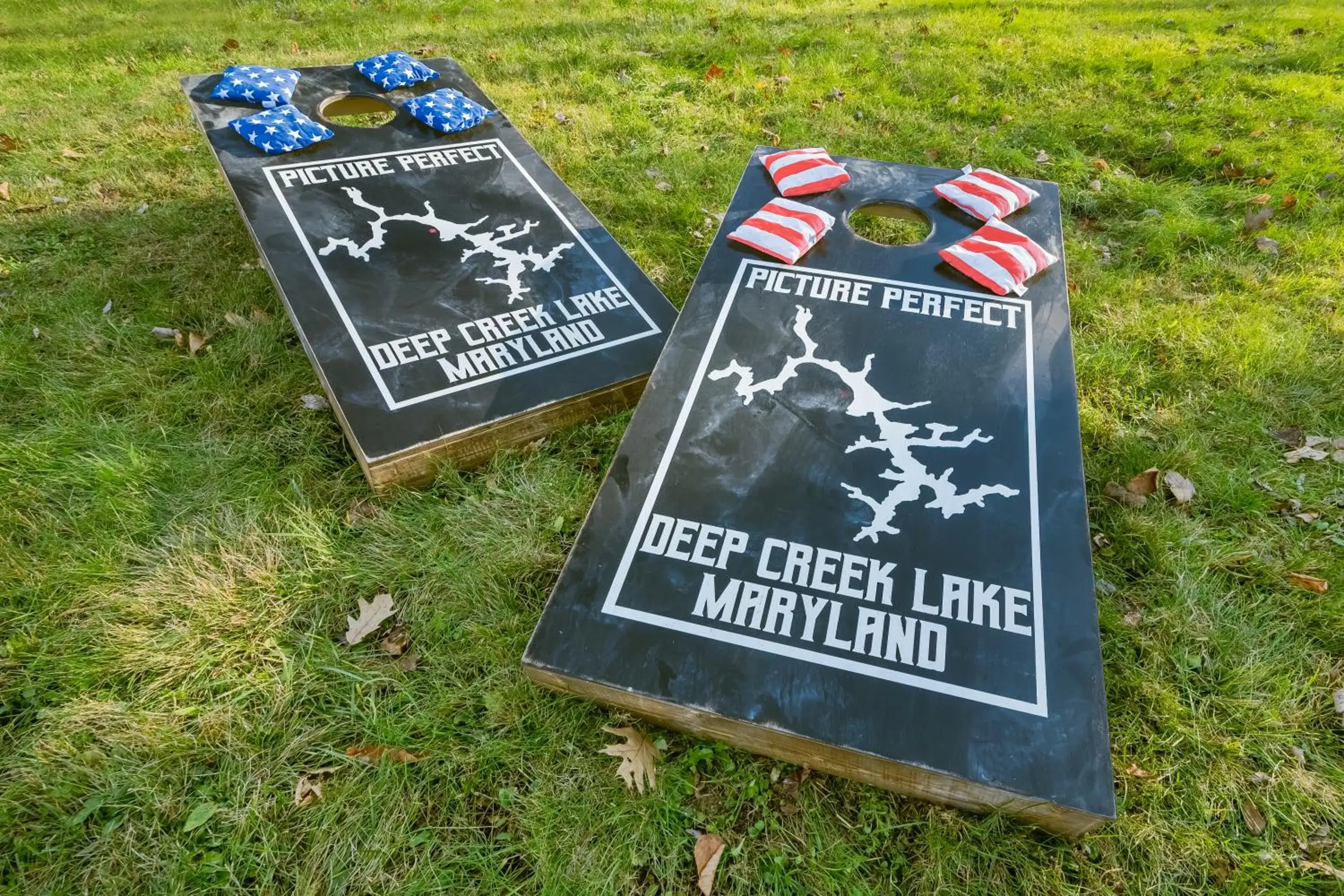 Picture Perfect Picture Perfect