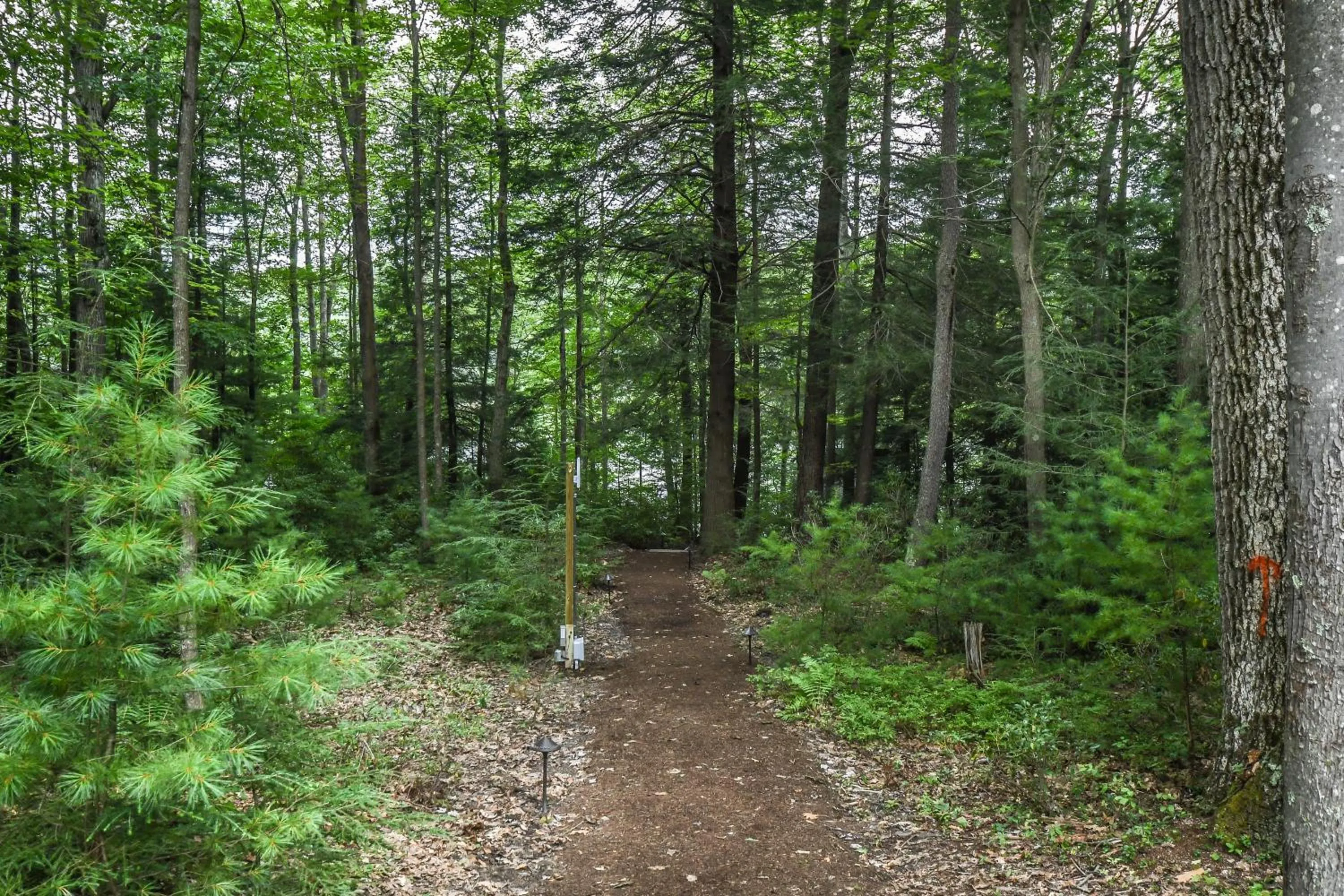 Property building in The Haven