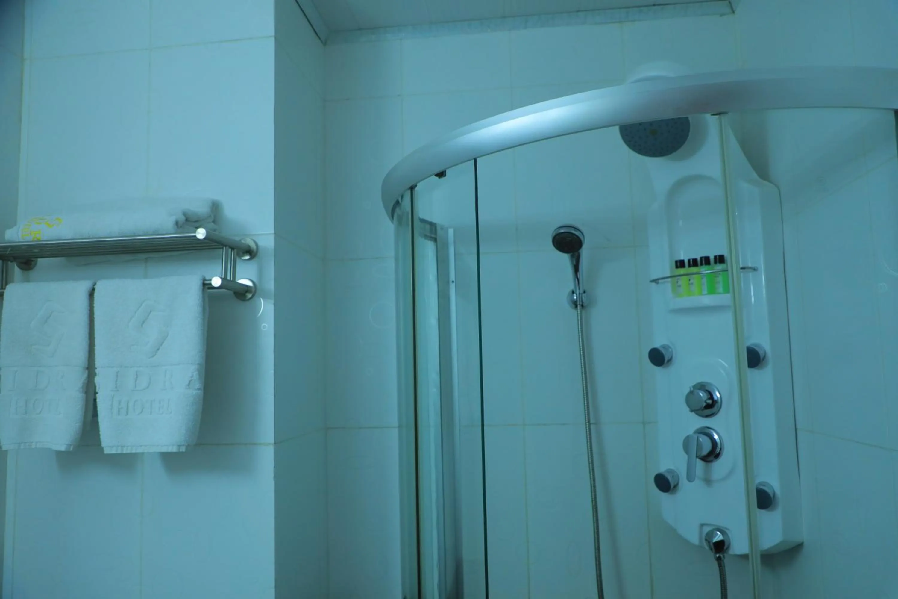 Shower in Sidra International Hotel