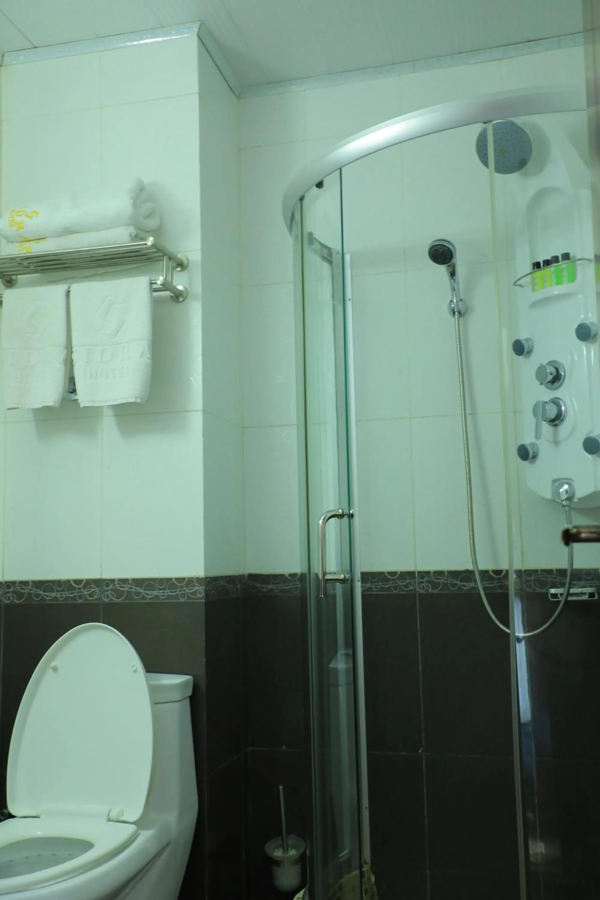 Sidra International Hotel