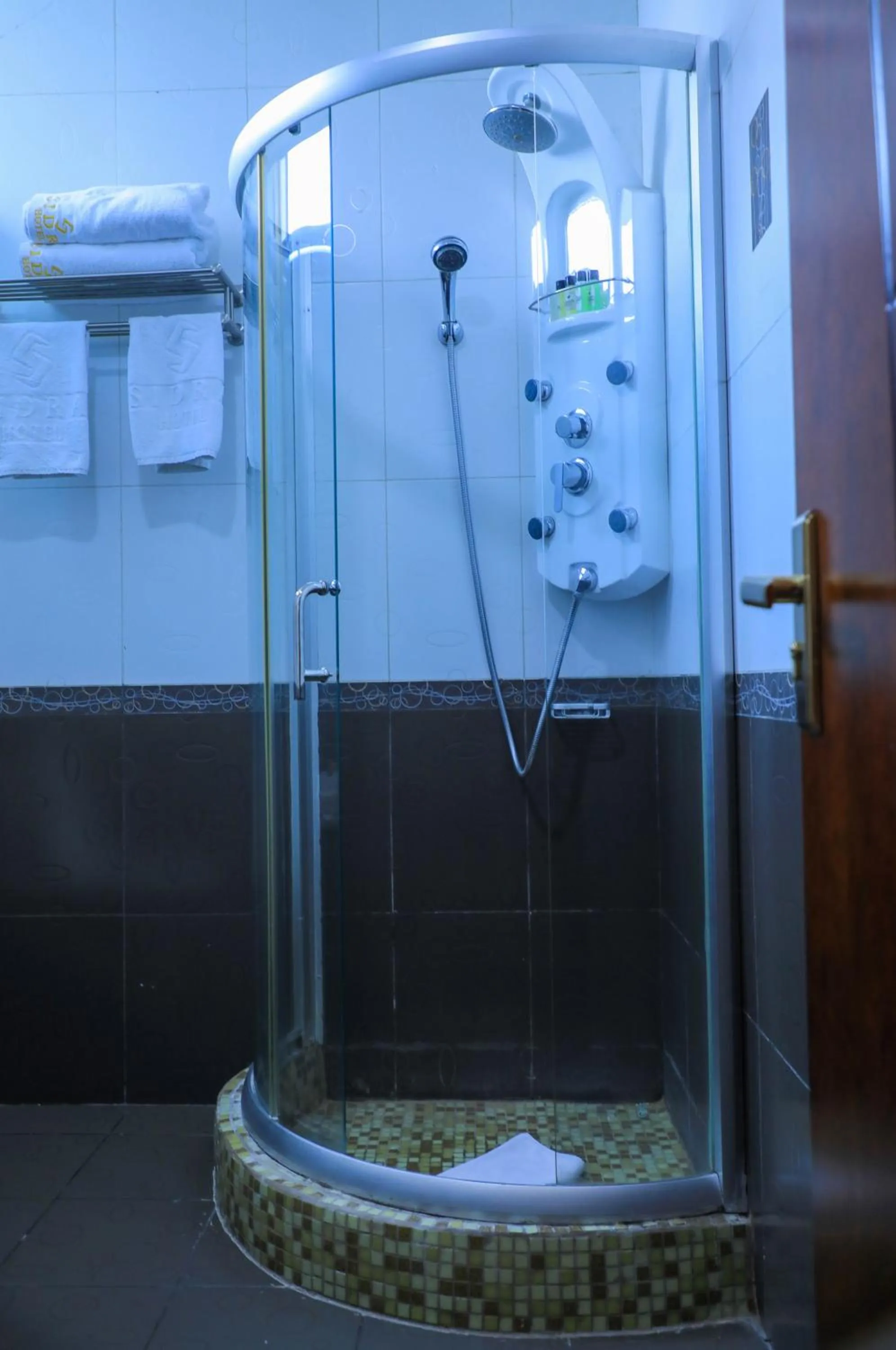 Shower in Sidra International Hotel