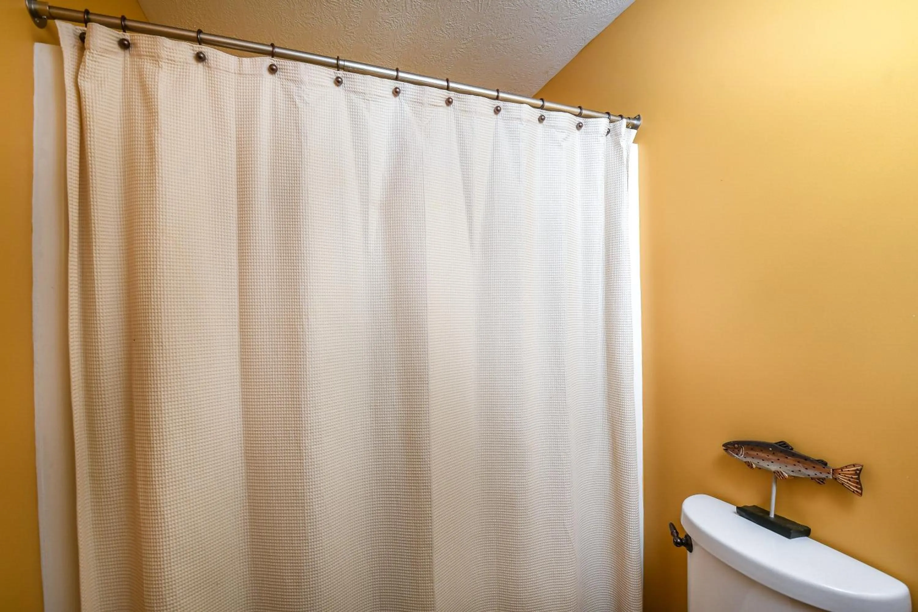 Property building in Bears Lair