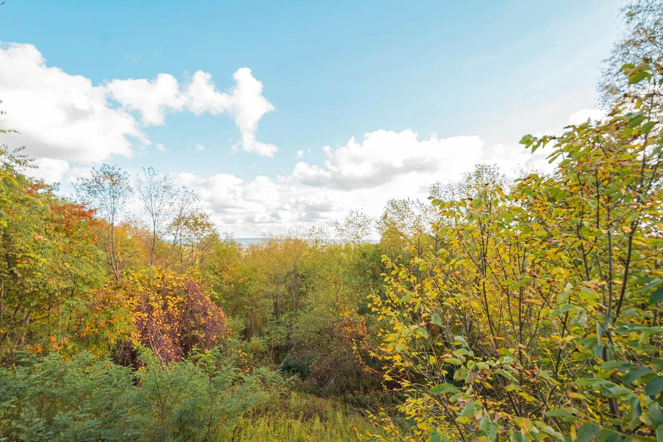 Property building in The Quarterdeck
