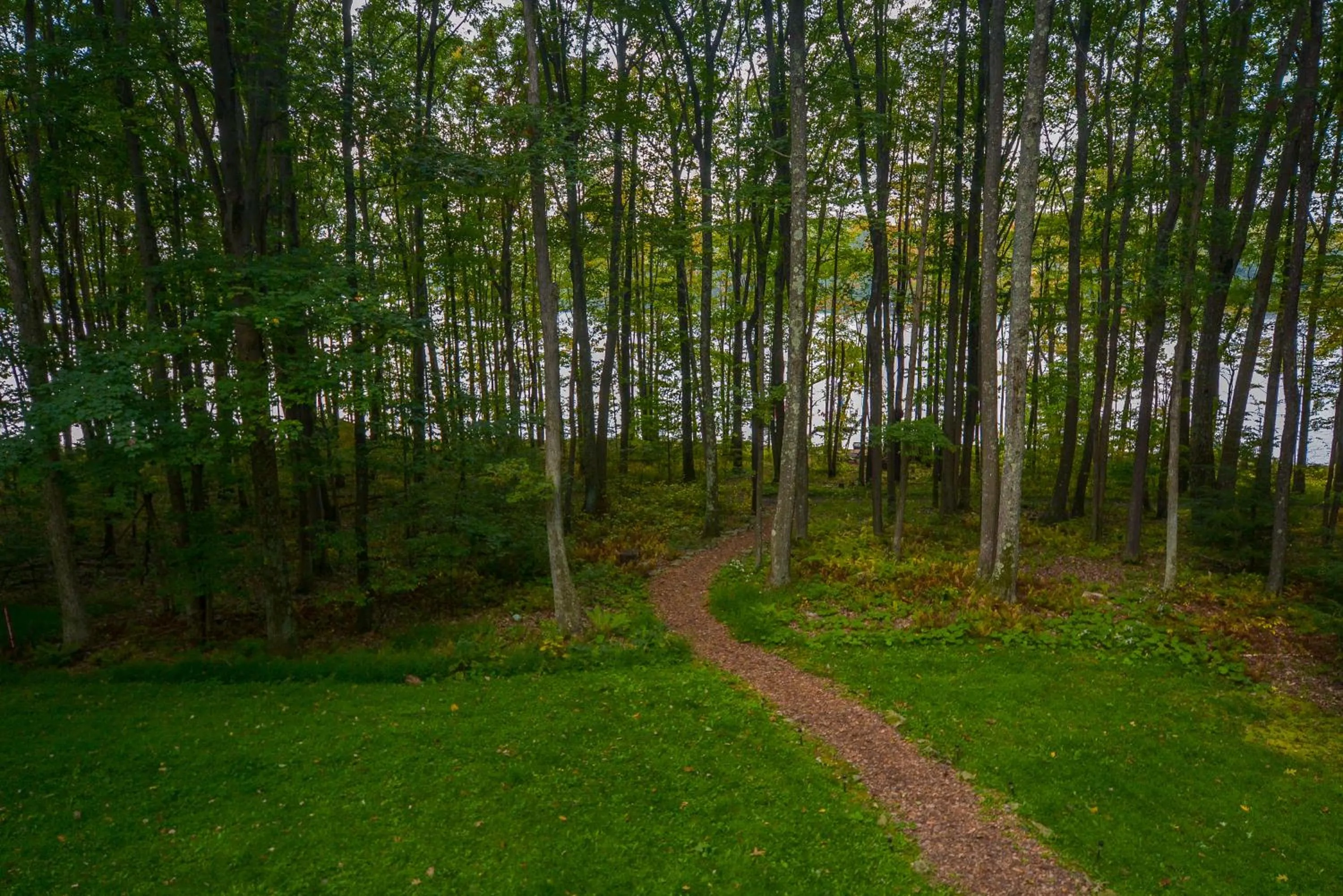 Property building in Donnas Choice