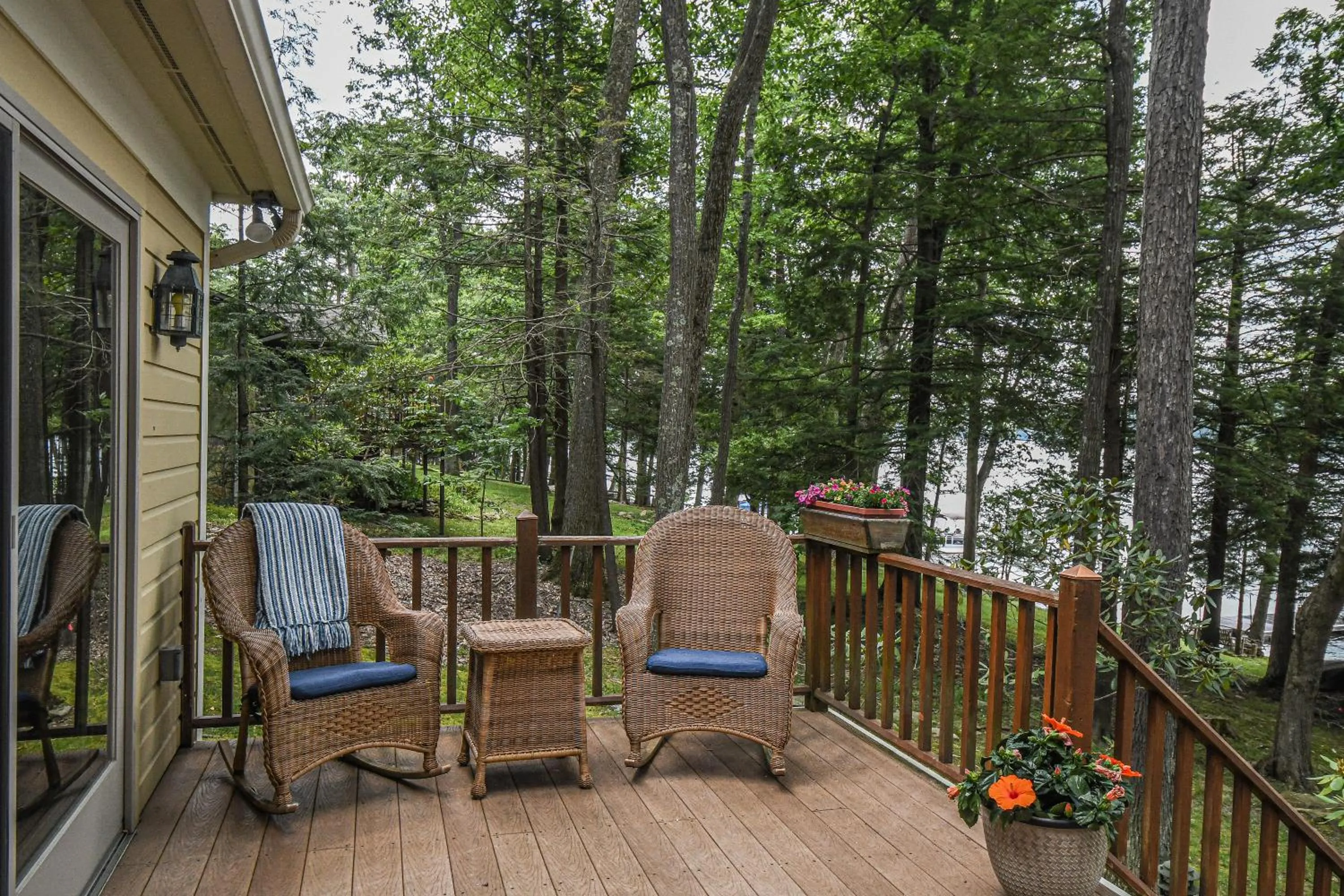 Property building in Bearfoot Lodge