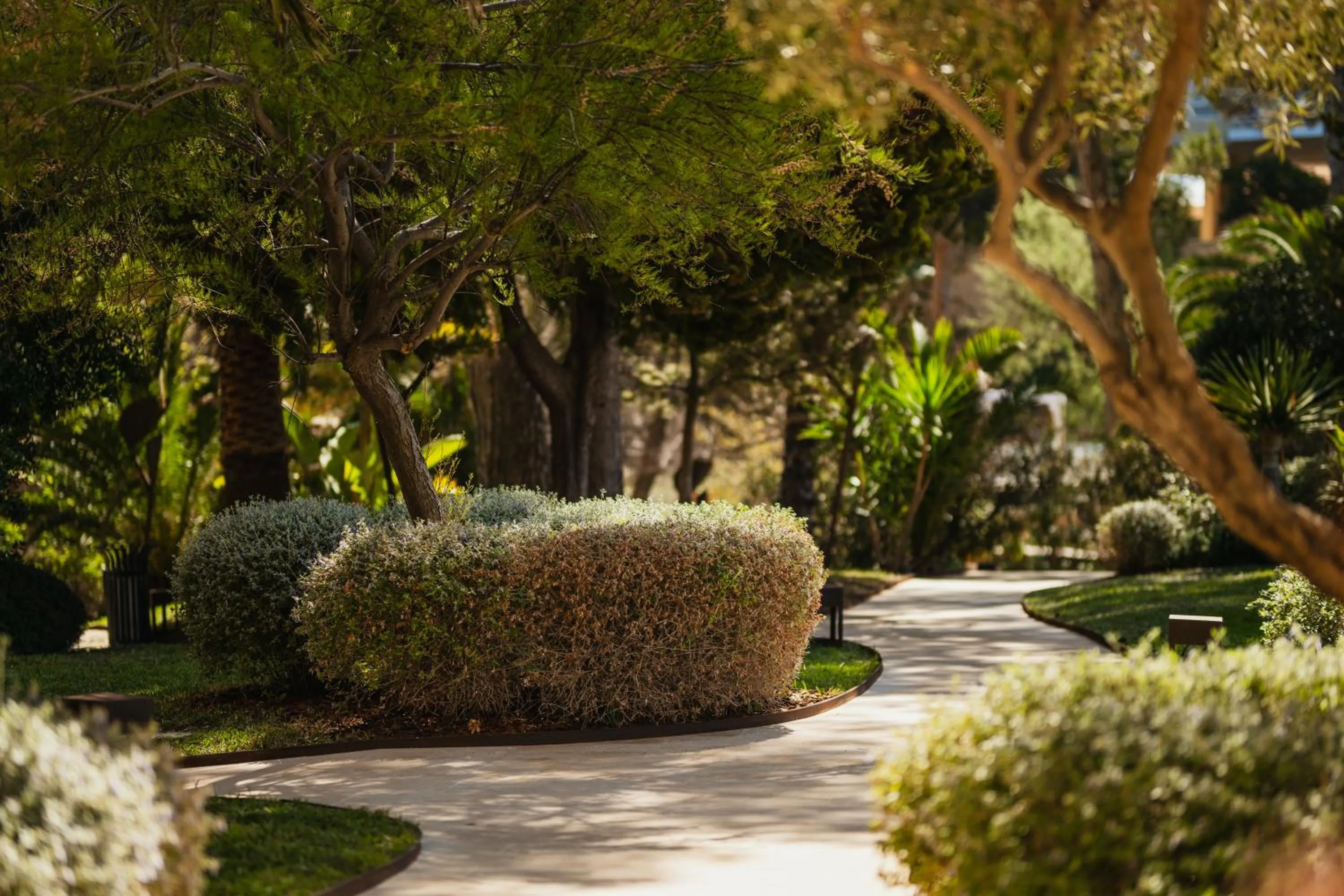 Garden in Secrets Mallorca Villamil Resort & Spa - Adults Only (+18)