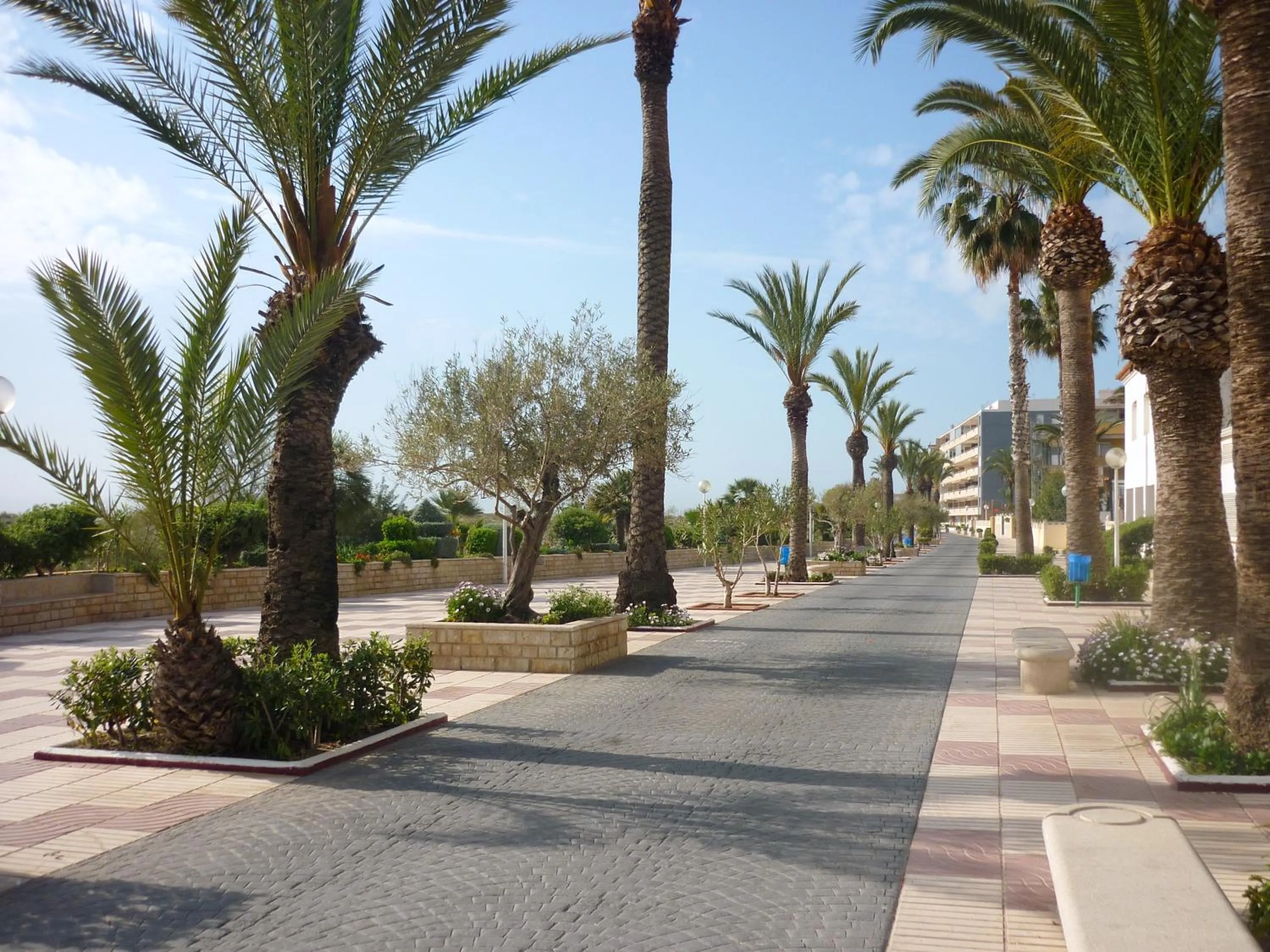 Neighbourhood in AGH Canet