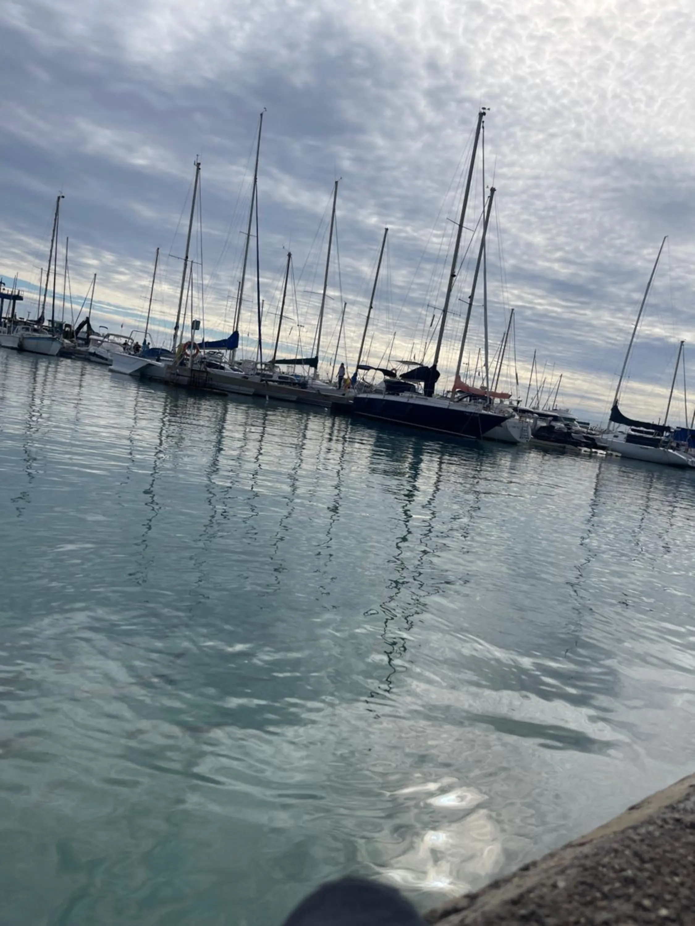 Activities in AGH Canet