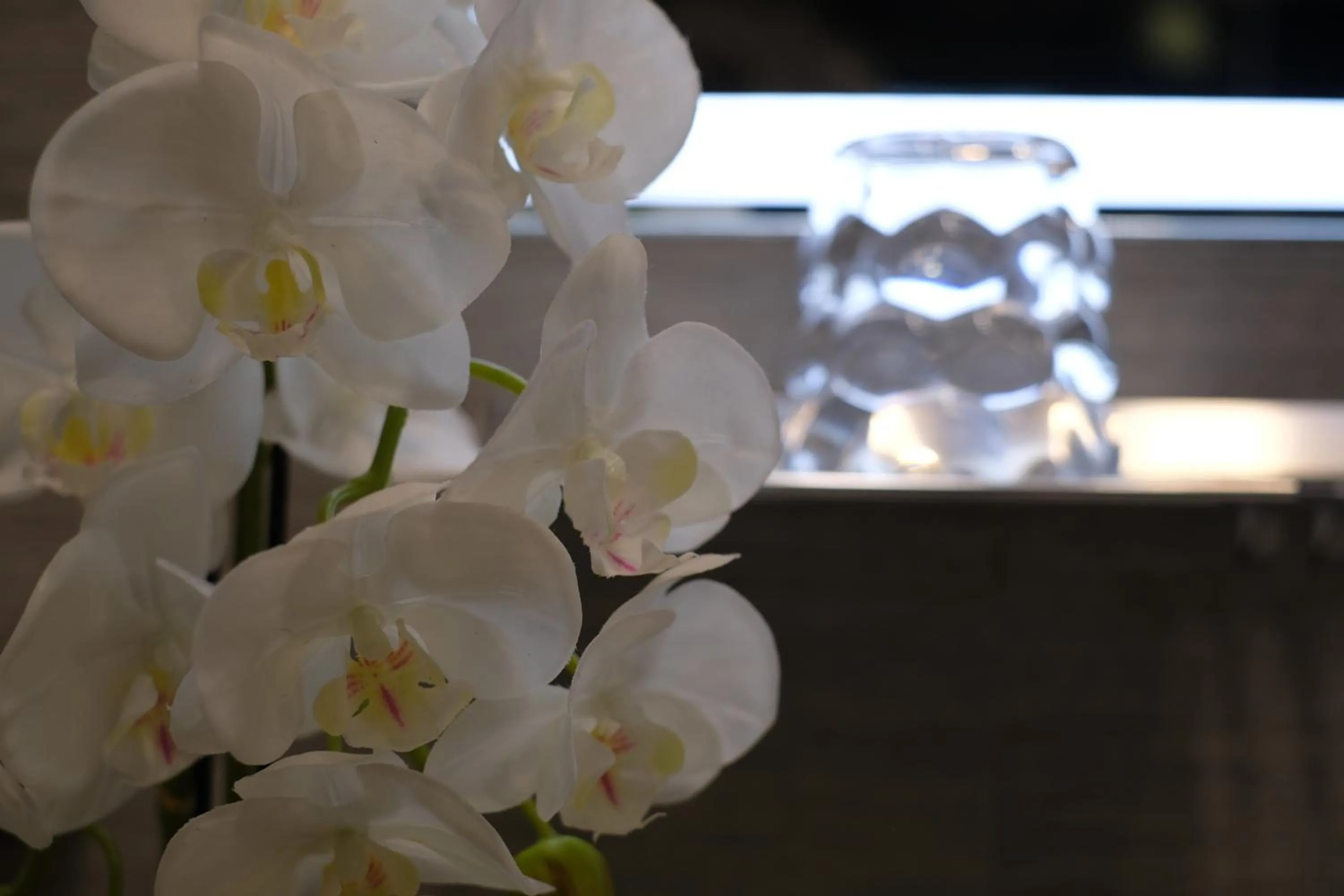 Decorative detail in LeNotti Verona