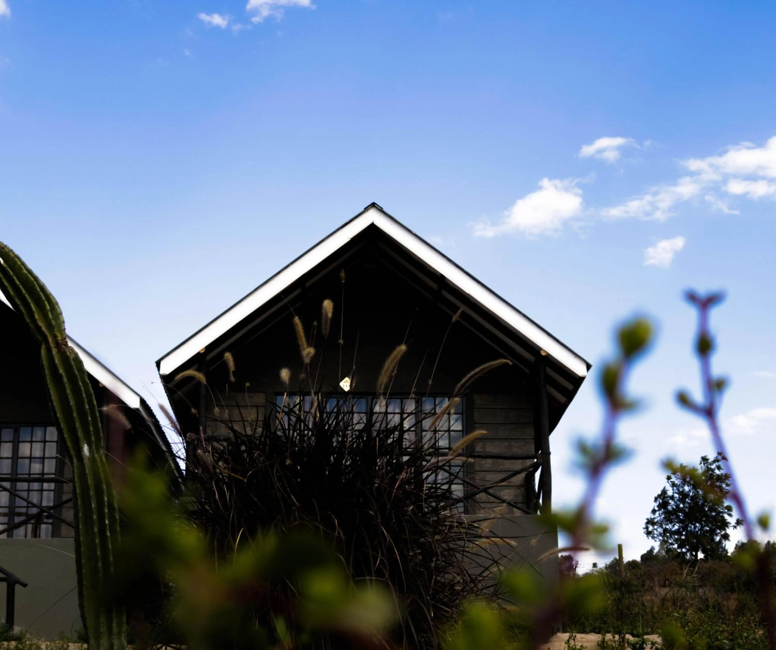 Property building in Outback Kenya Lodge