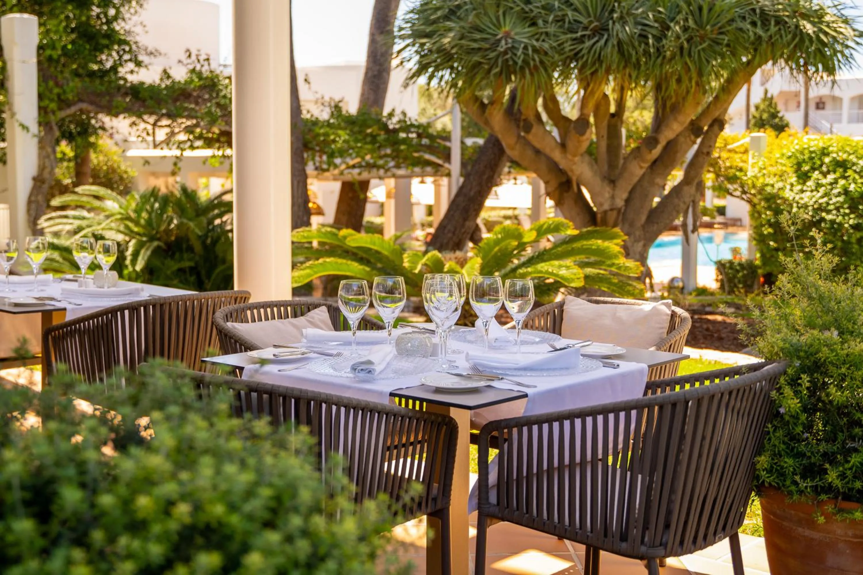 Restaurant/places to eat in Melia Cala d'Or Boutique Hotel