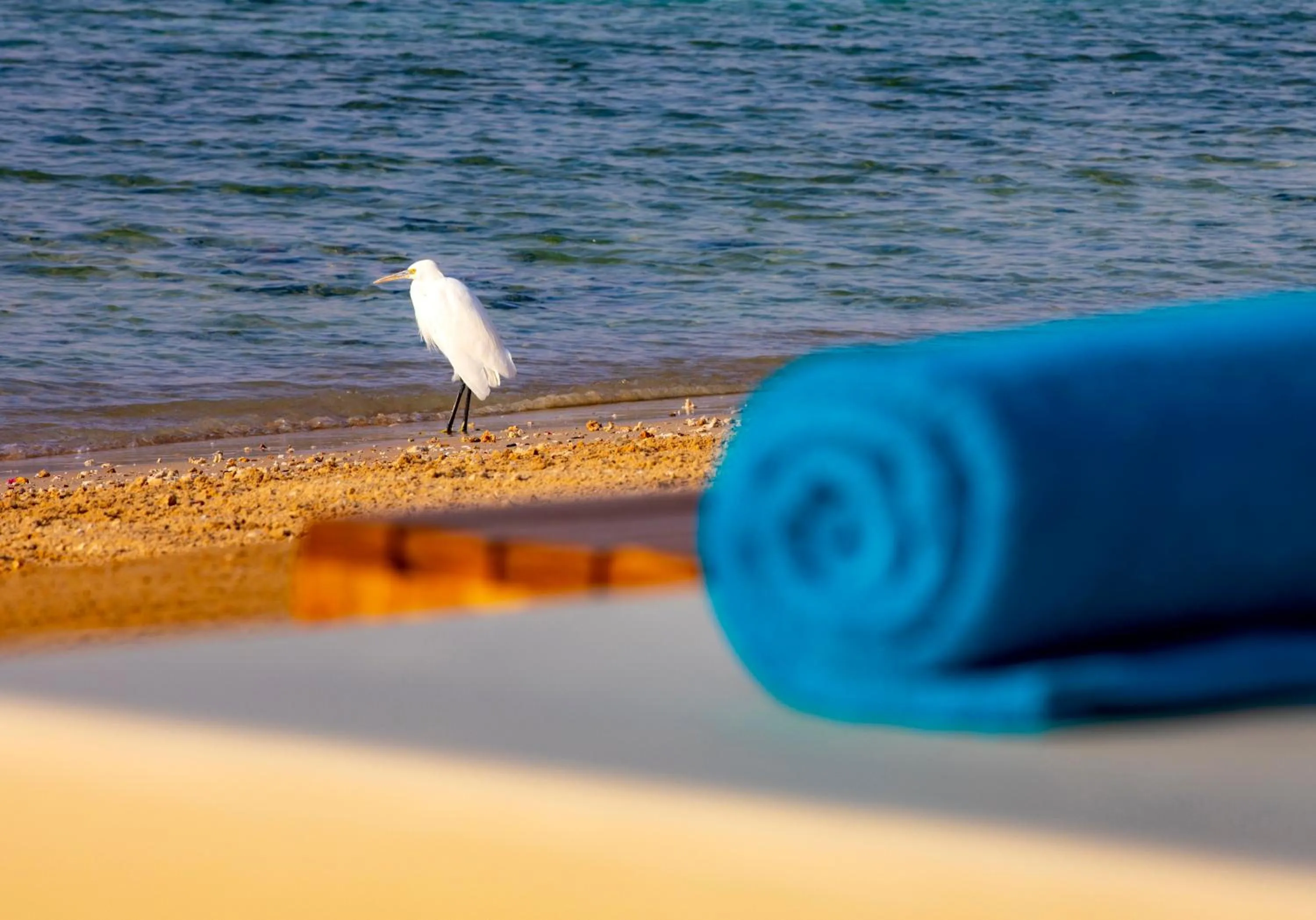 Beach in Zen Resort Sahl Hasheesh by TBH Hotels