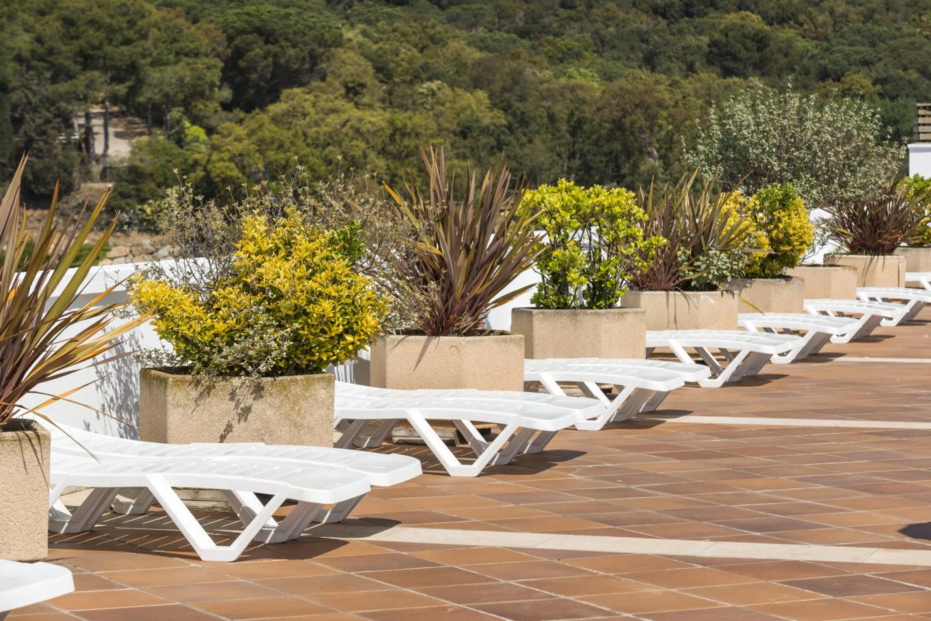 Solarium in Apartaments Condado by Marsol