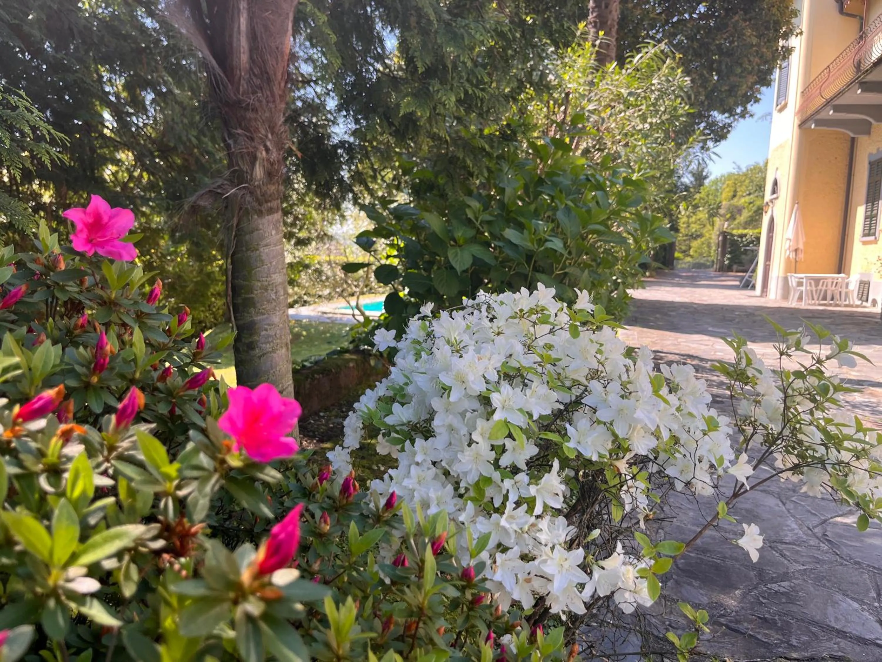 VSC Apartment - Appartamento in villa storica vista lago e piscina