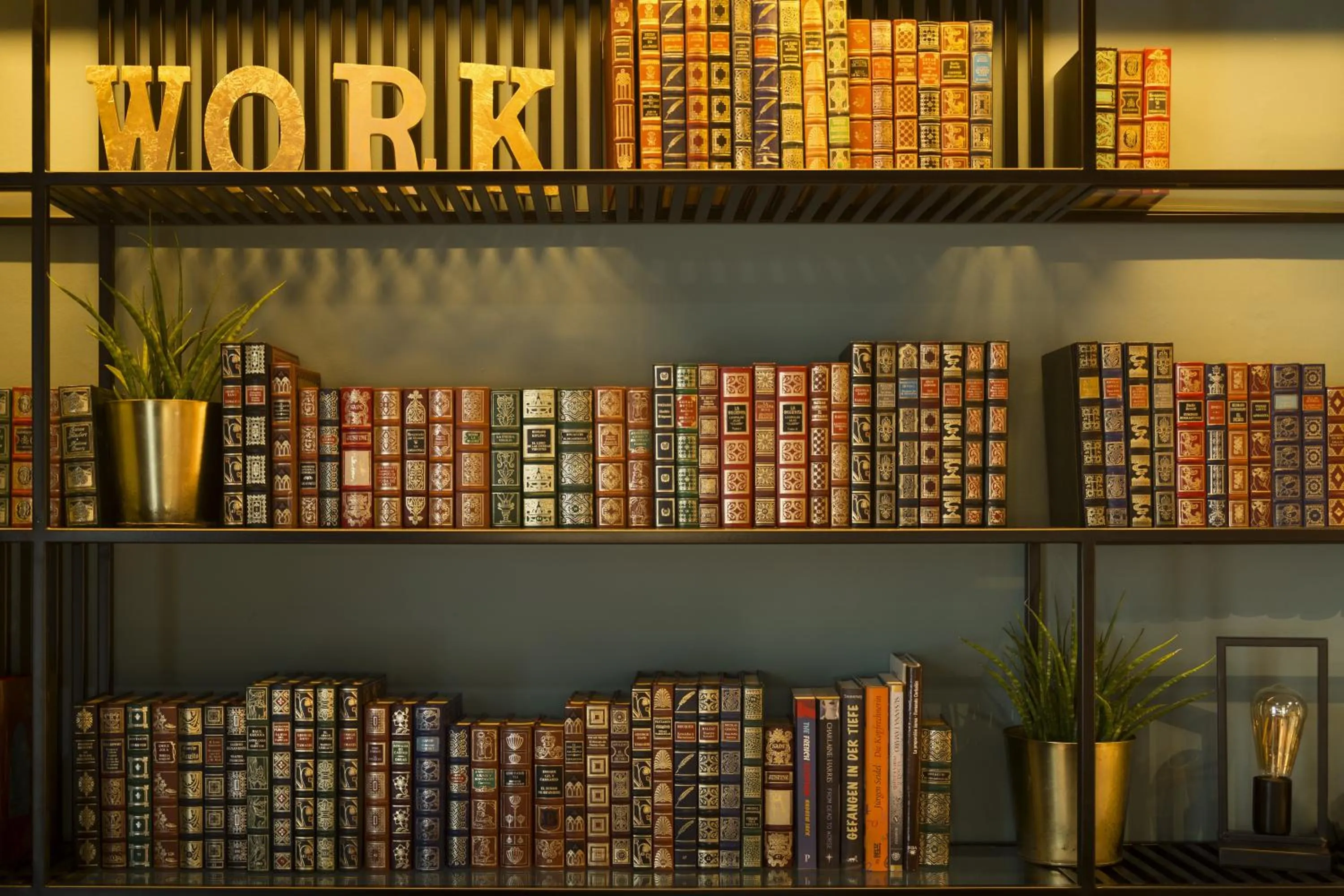 Library in Petit Palace Alcalá