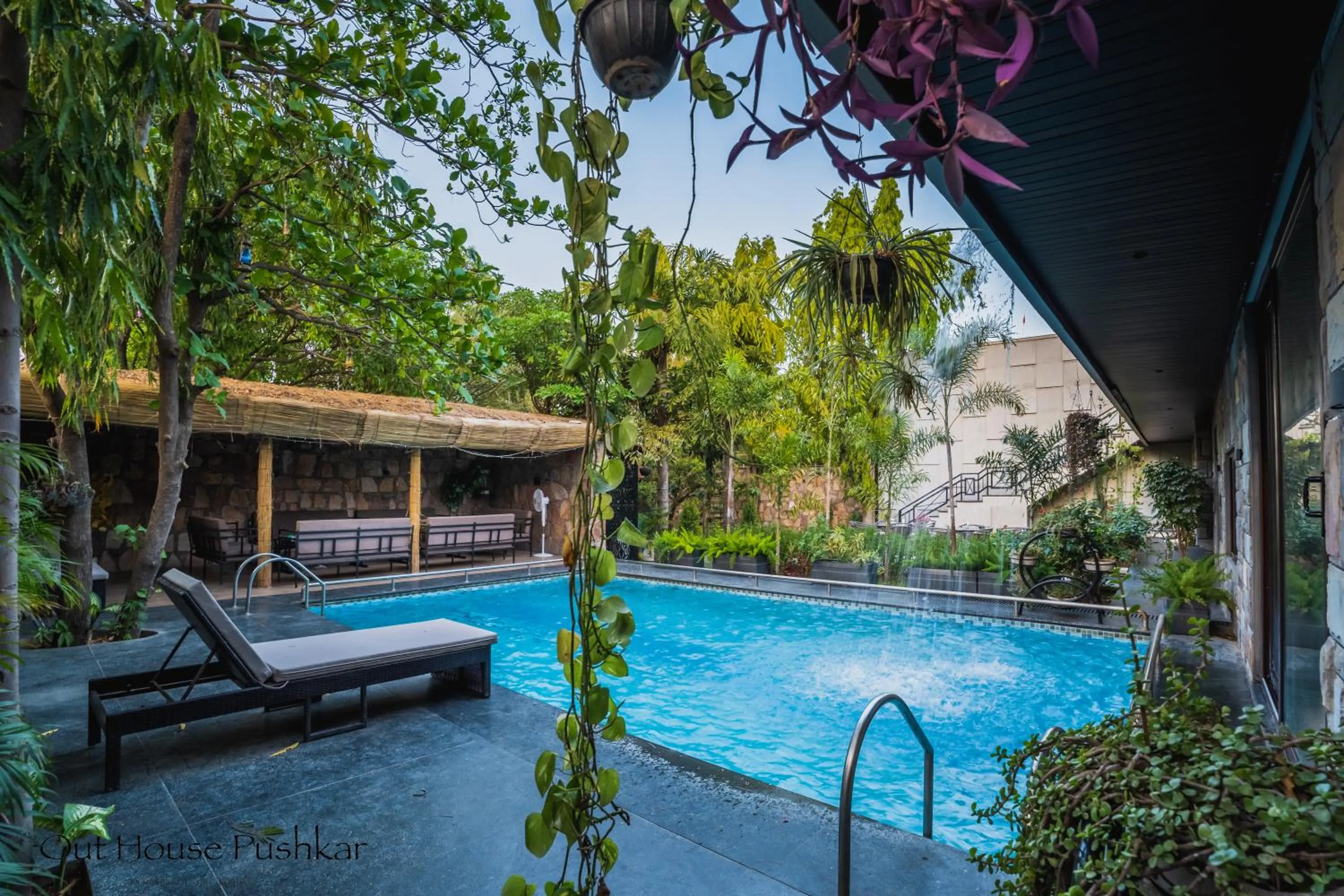 Swimming pool in Out House Pushkar