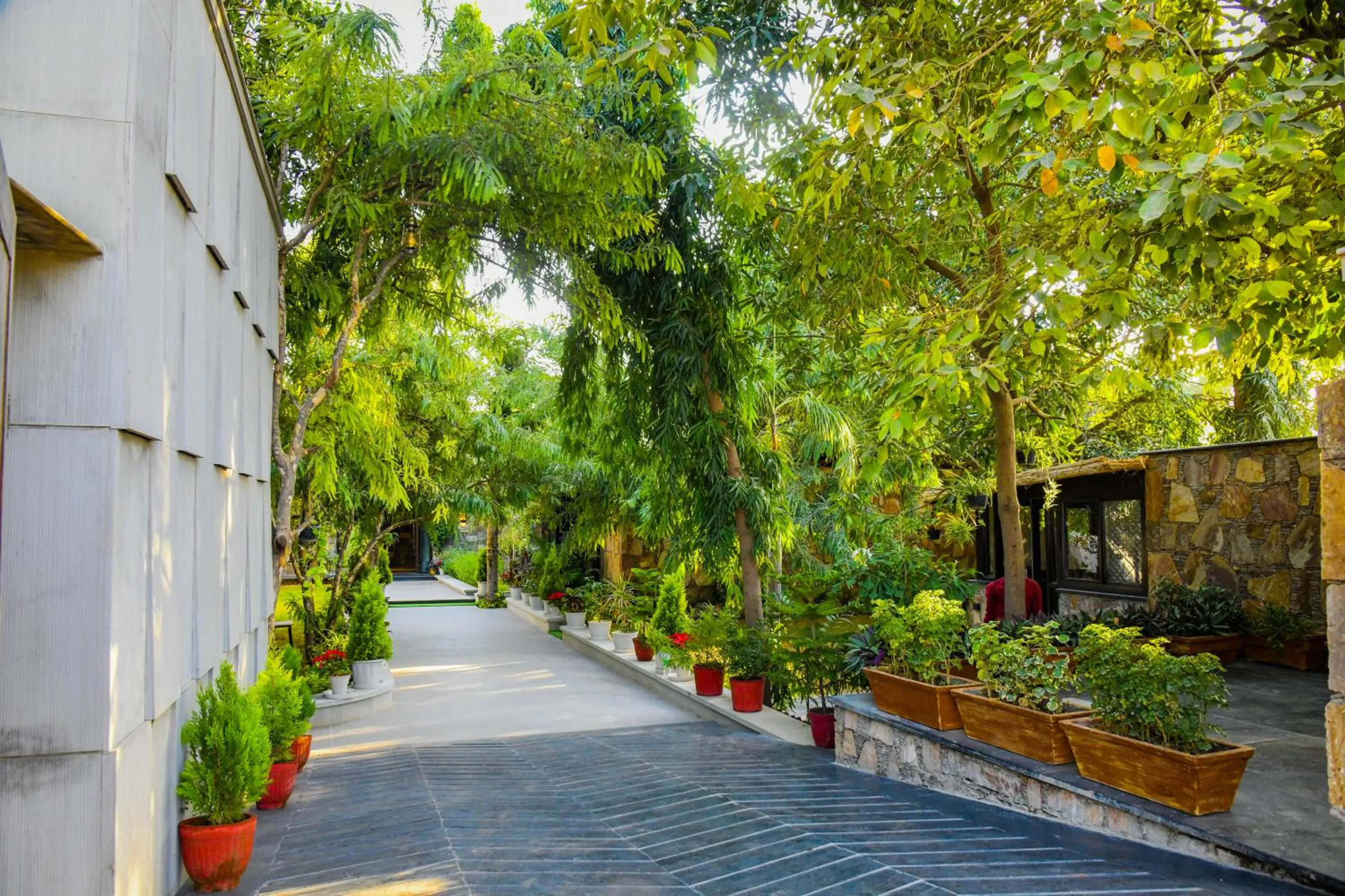 Day in Out House Pushkar