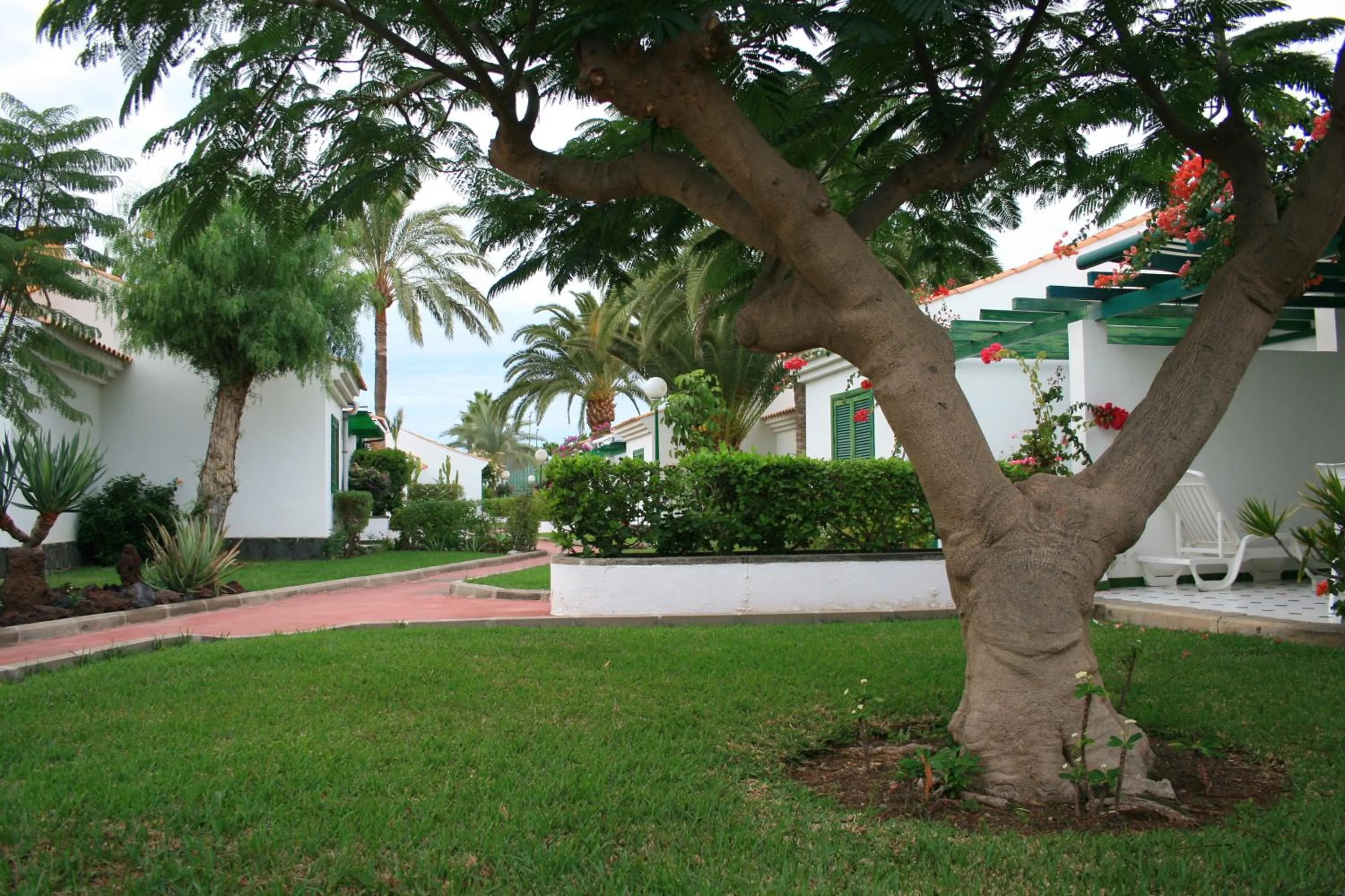 Garden in Bungalows Campo Golf