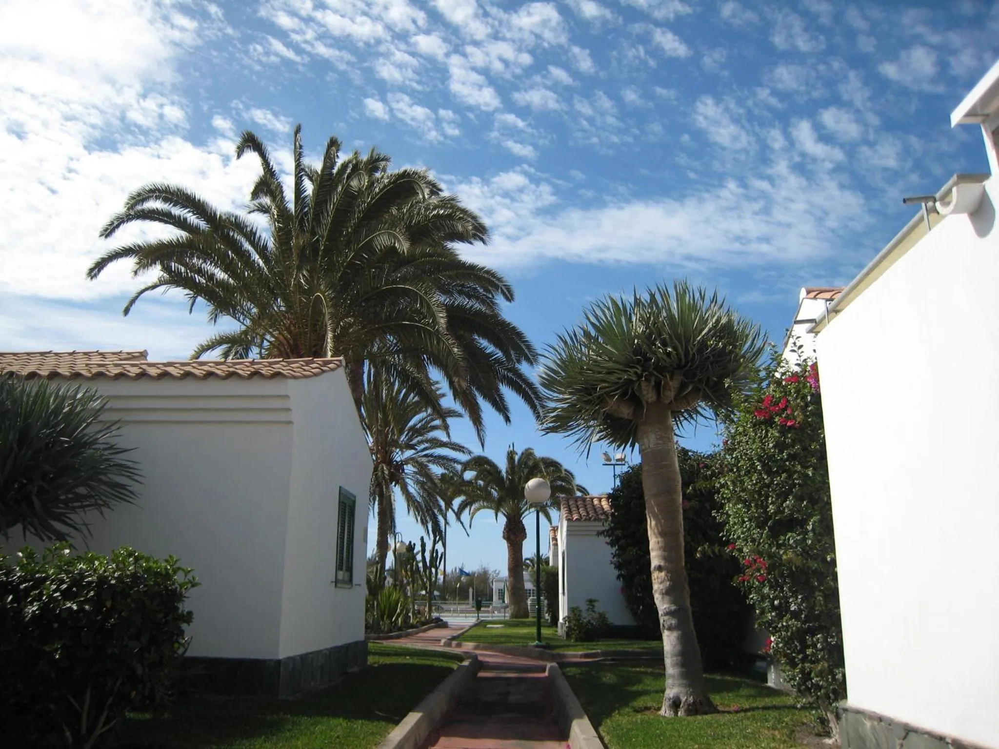 Garden in Bungalows Campo Golf