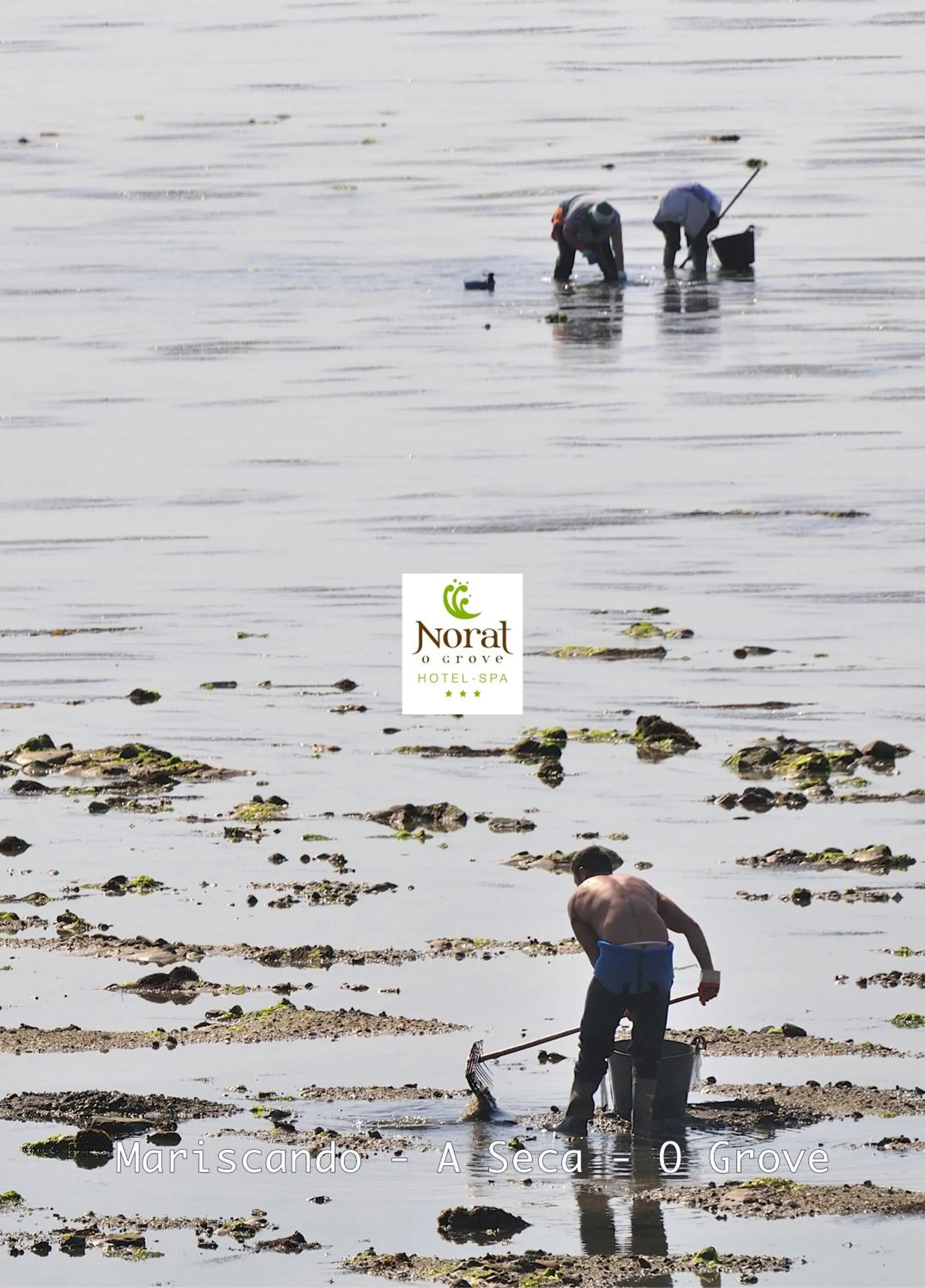 Nearby landmark in Hotel Spa Norat O Grove 3* Superior