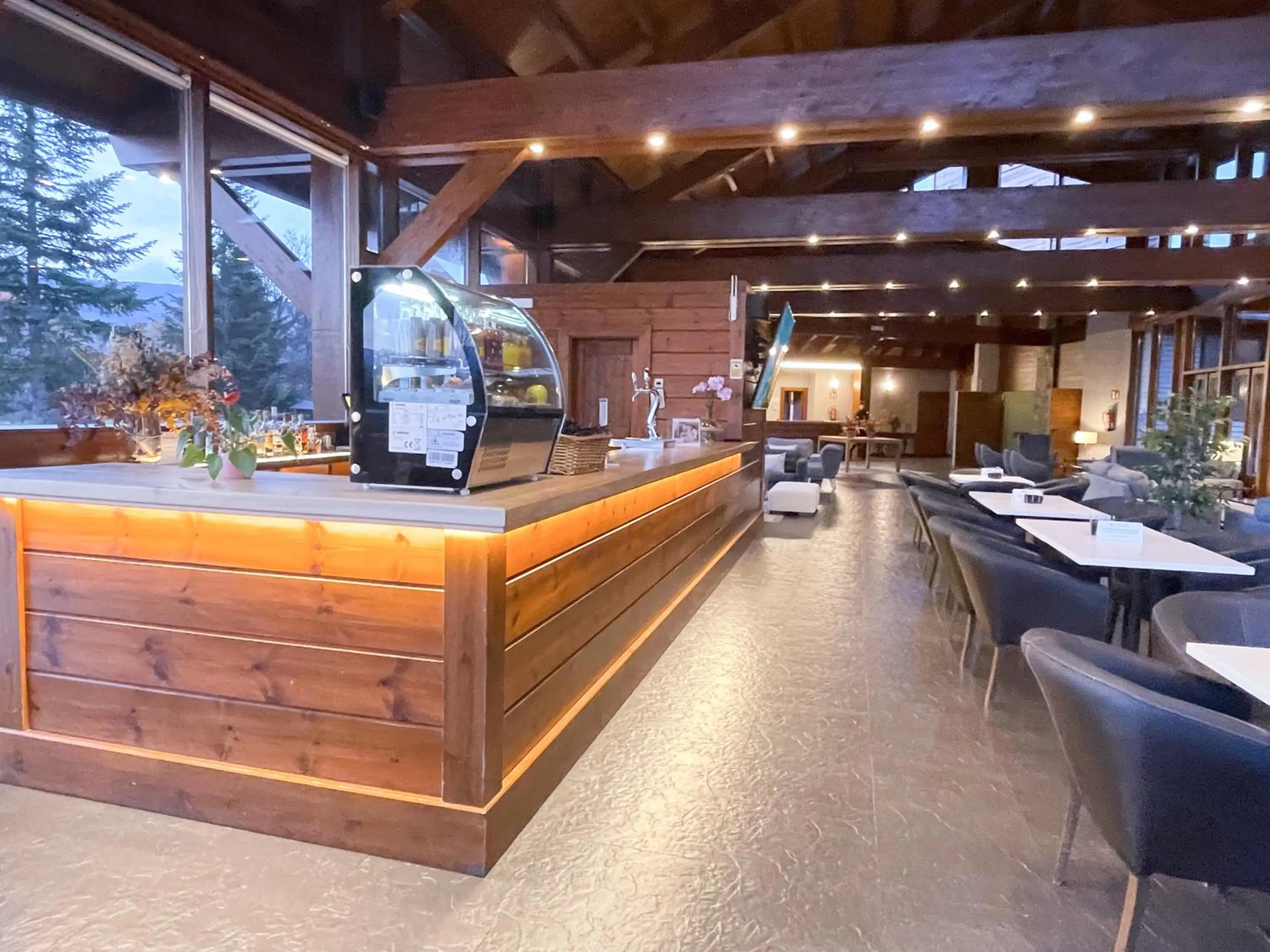 Lounge or bar in Hotel Fontanals Golf