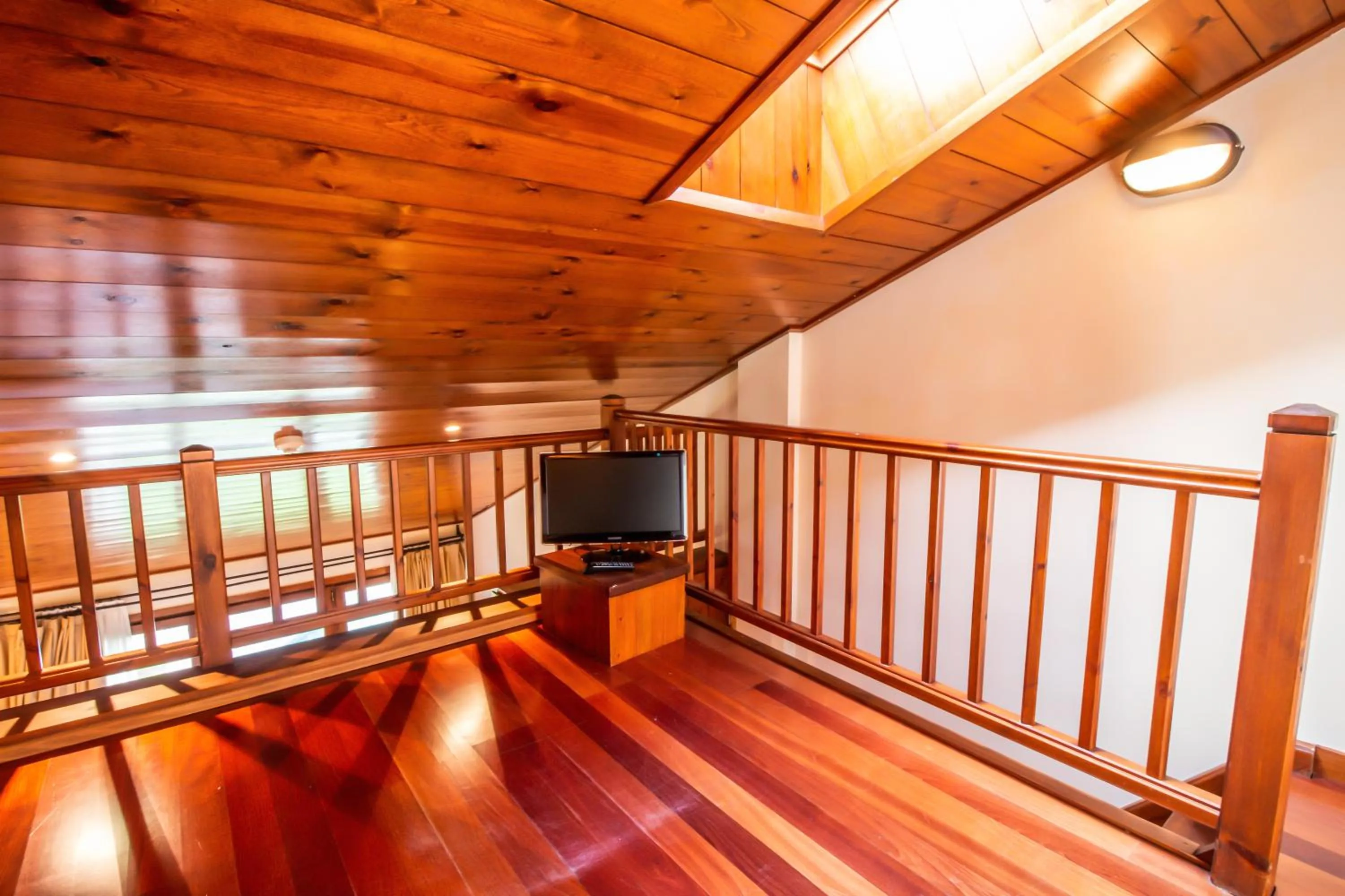 TV and multimedia in Hotel Fontanals Golf