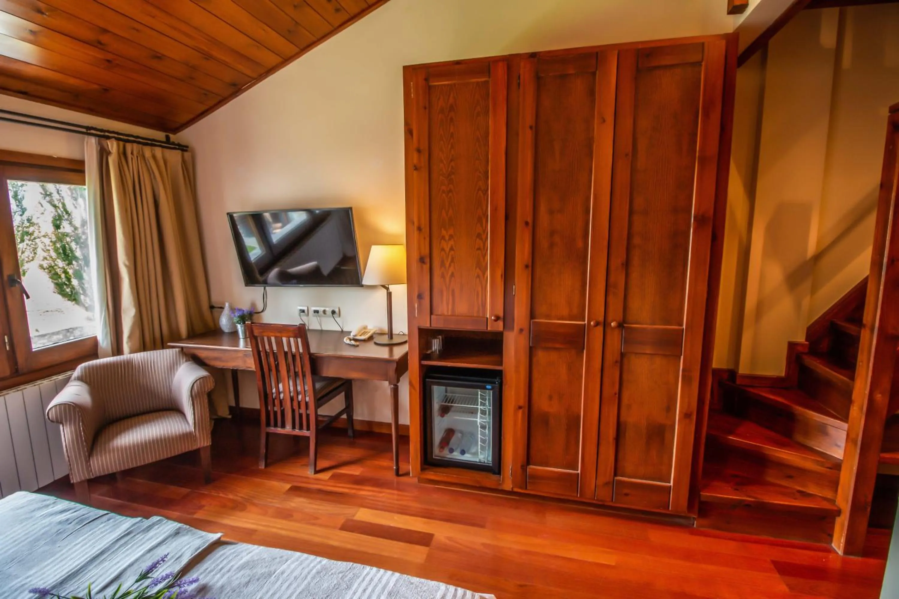 TV and multimedia in Hotel Fontanals Golf