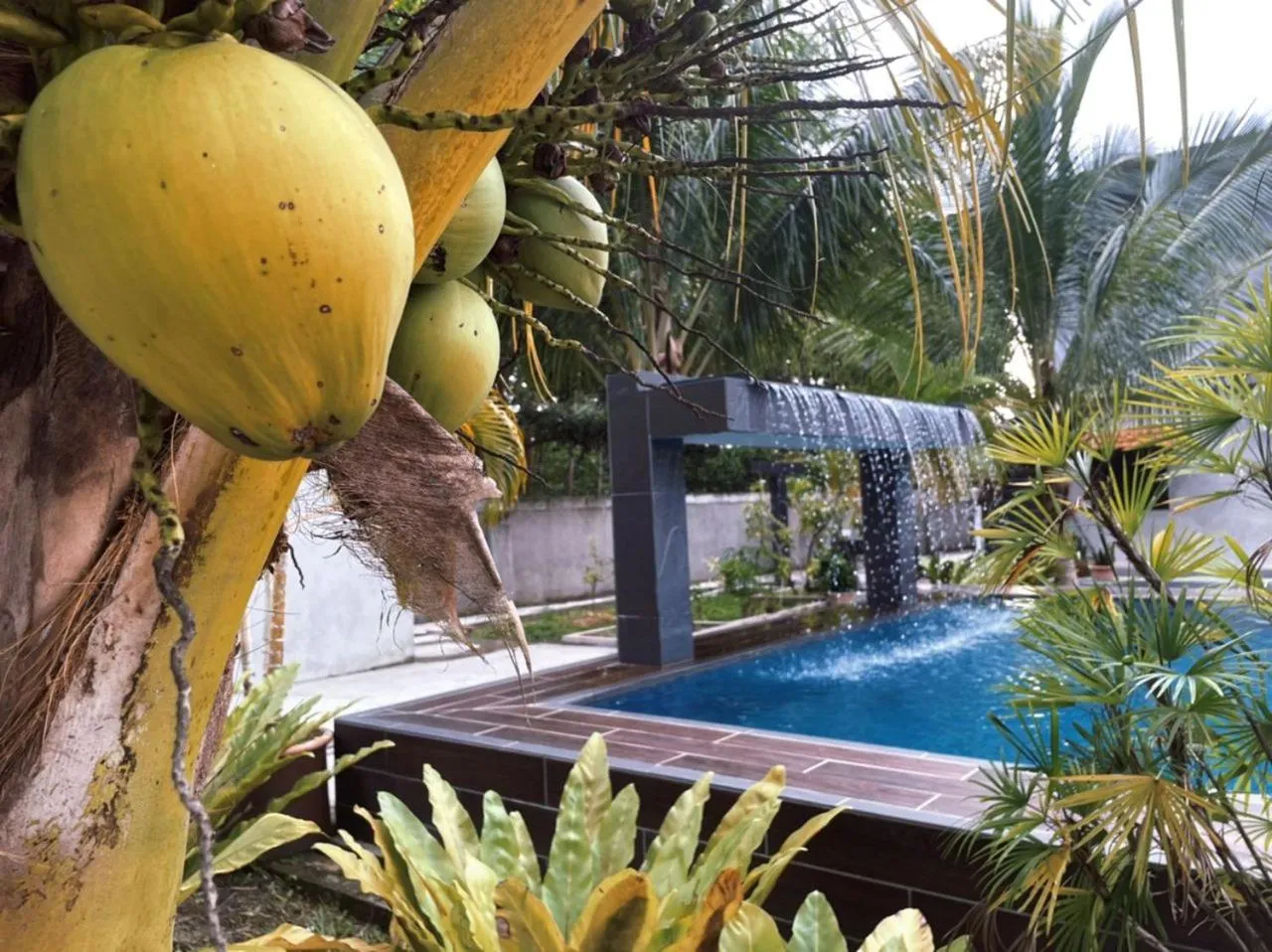 Day in Pangkor Nature View House