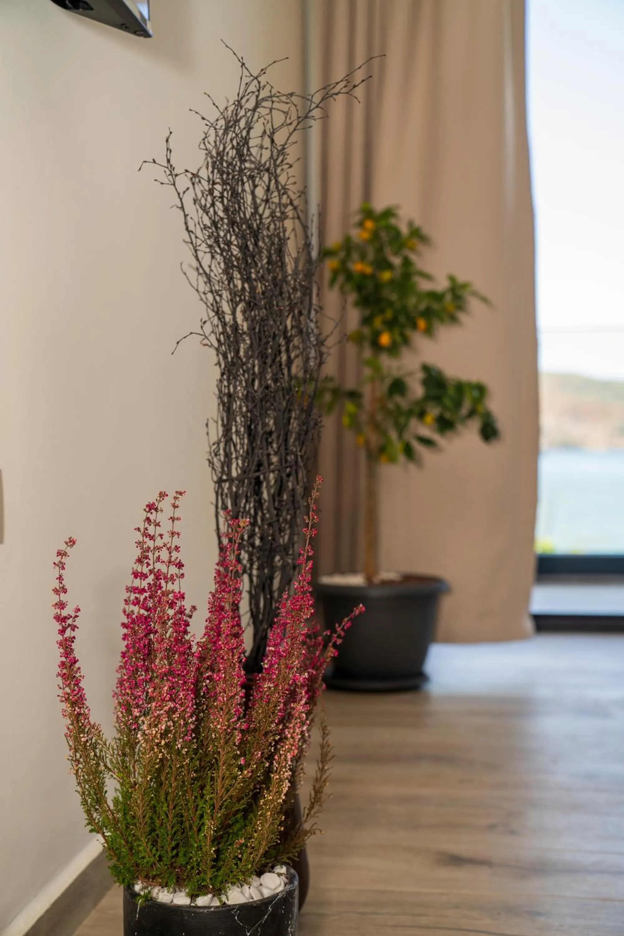 Massage in Ansira Fethiye