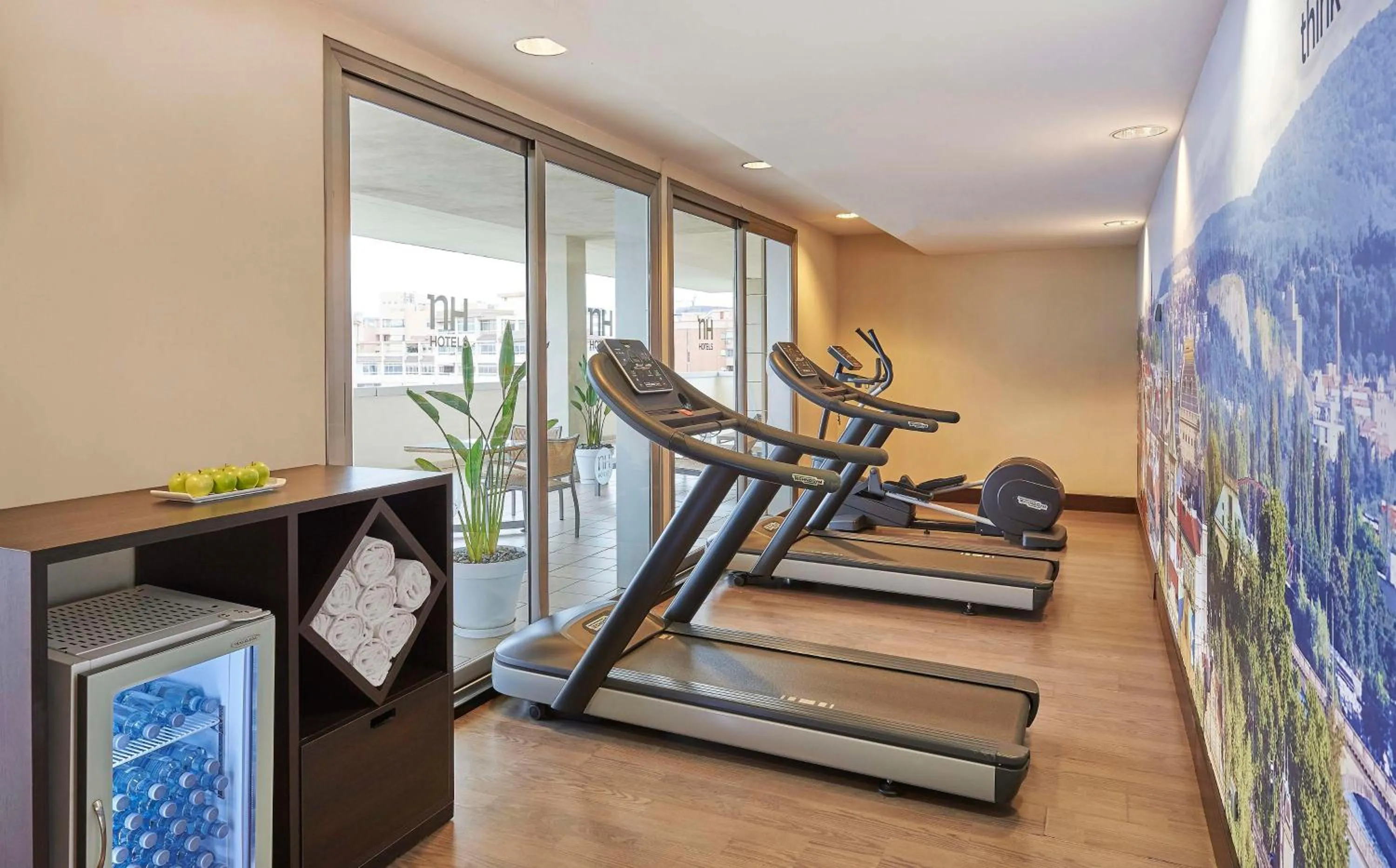Fitness centre/facilities in NH Alicante