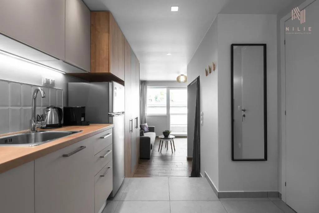 Kitchen or kitchenette in Big Apple, Nilie Hospitality MGMT