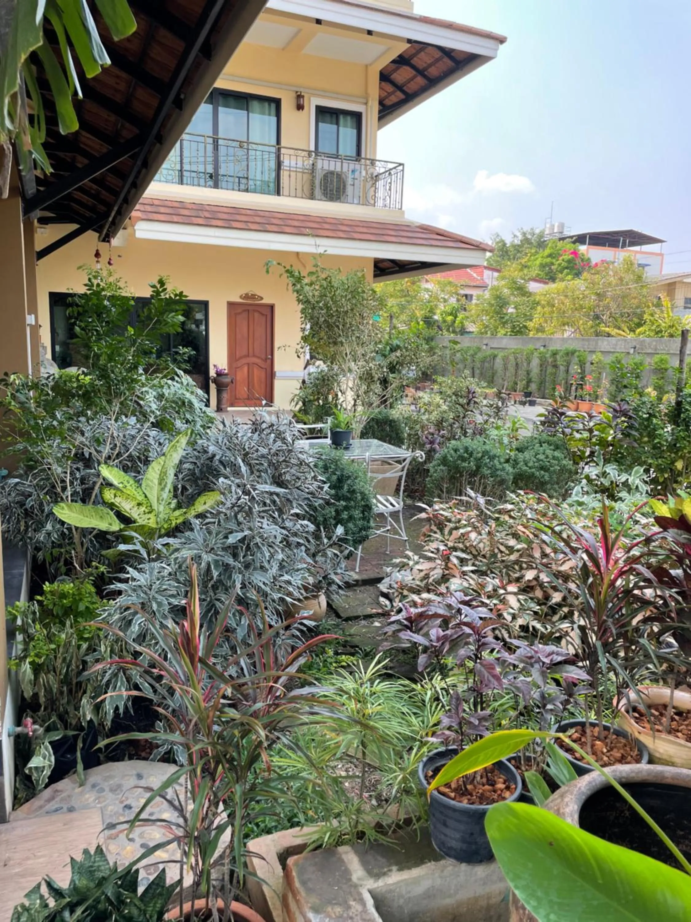 Garden in Laph Kham House