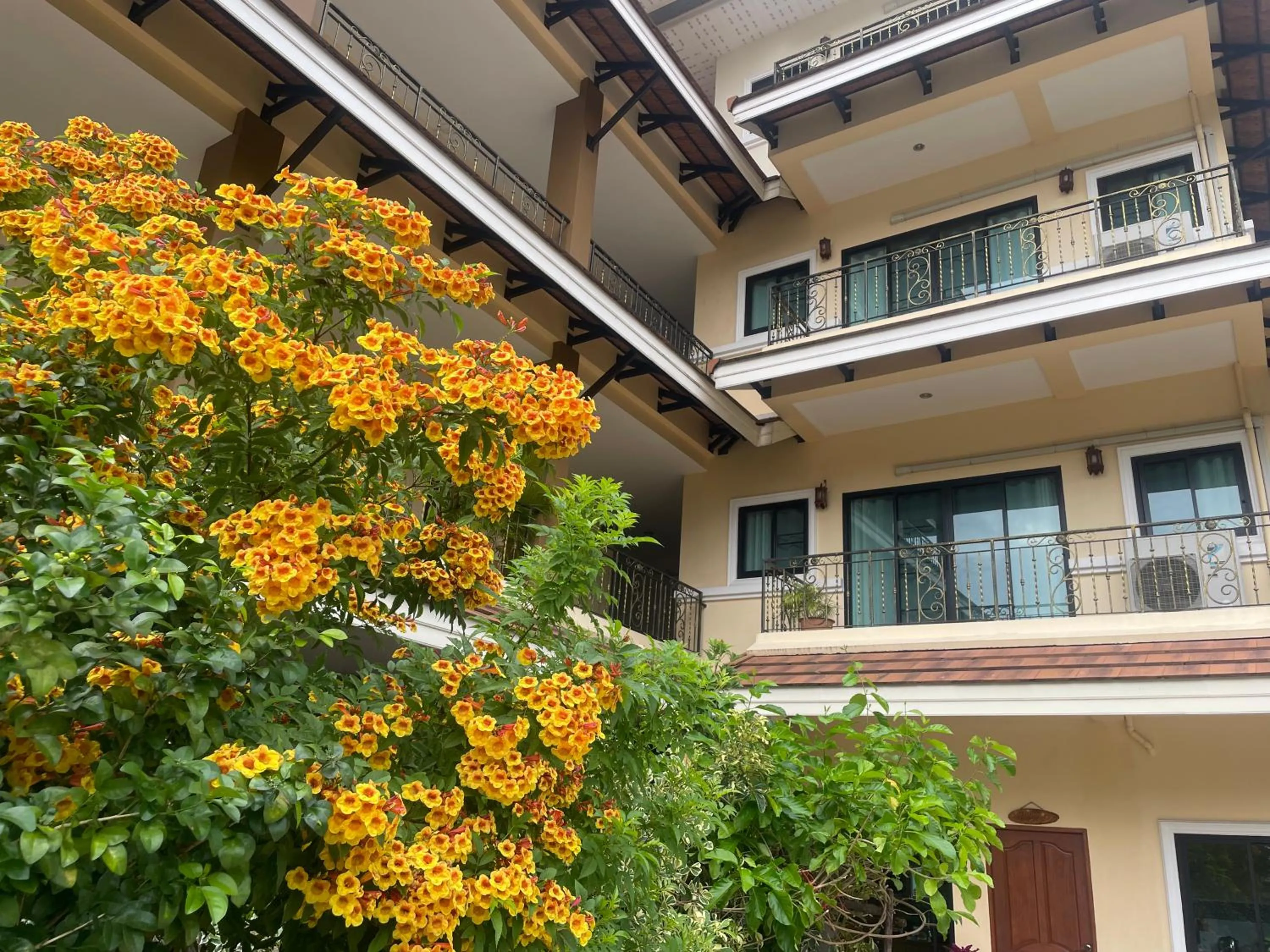 Garden view in Laph Kham House
