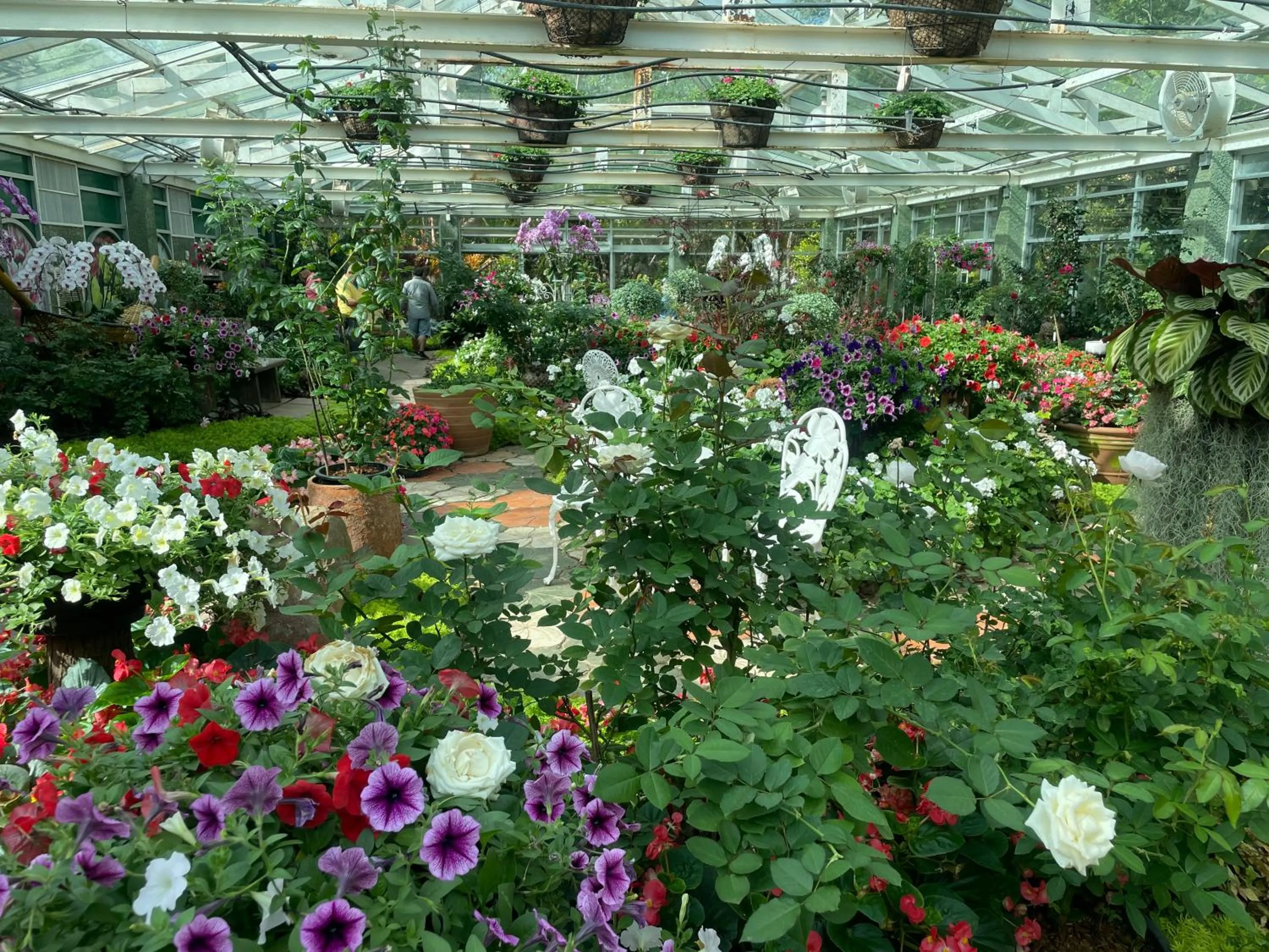 Garden view in Laph Kham House