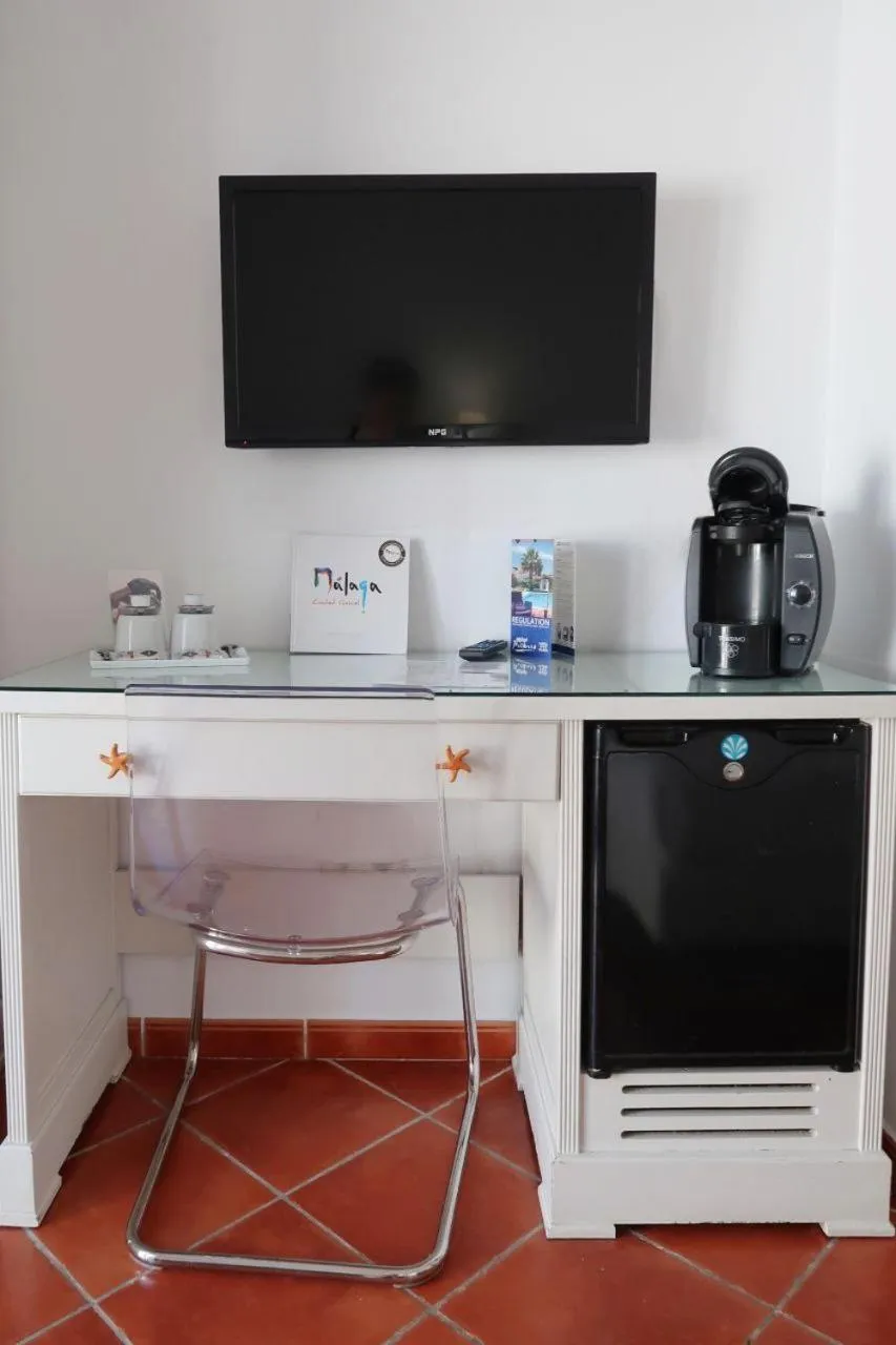 TV and multimedia in Hotel Malaga Picasso