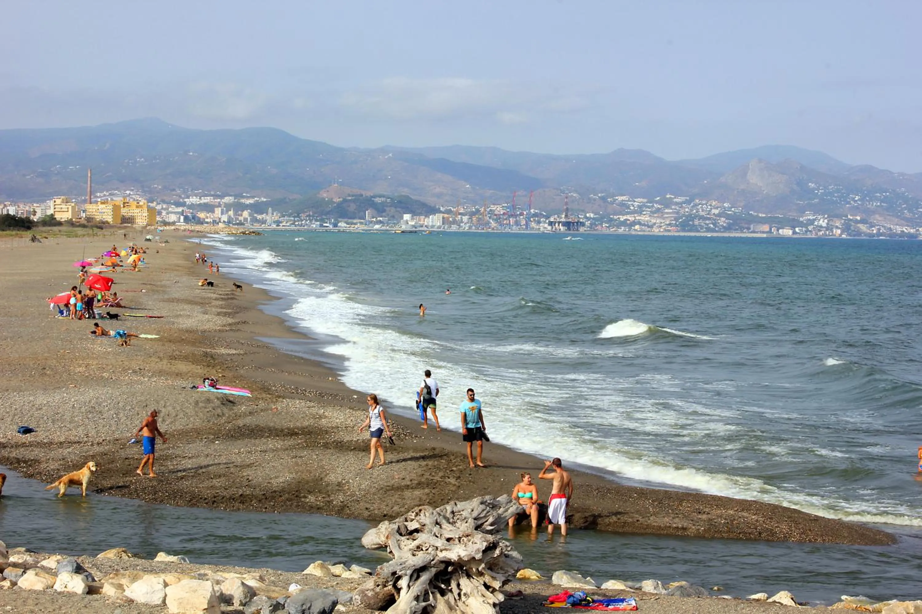 Natural landscape in Hotel Malaga Picasso