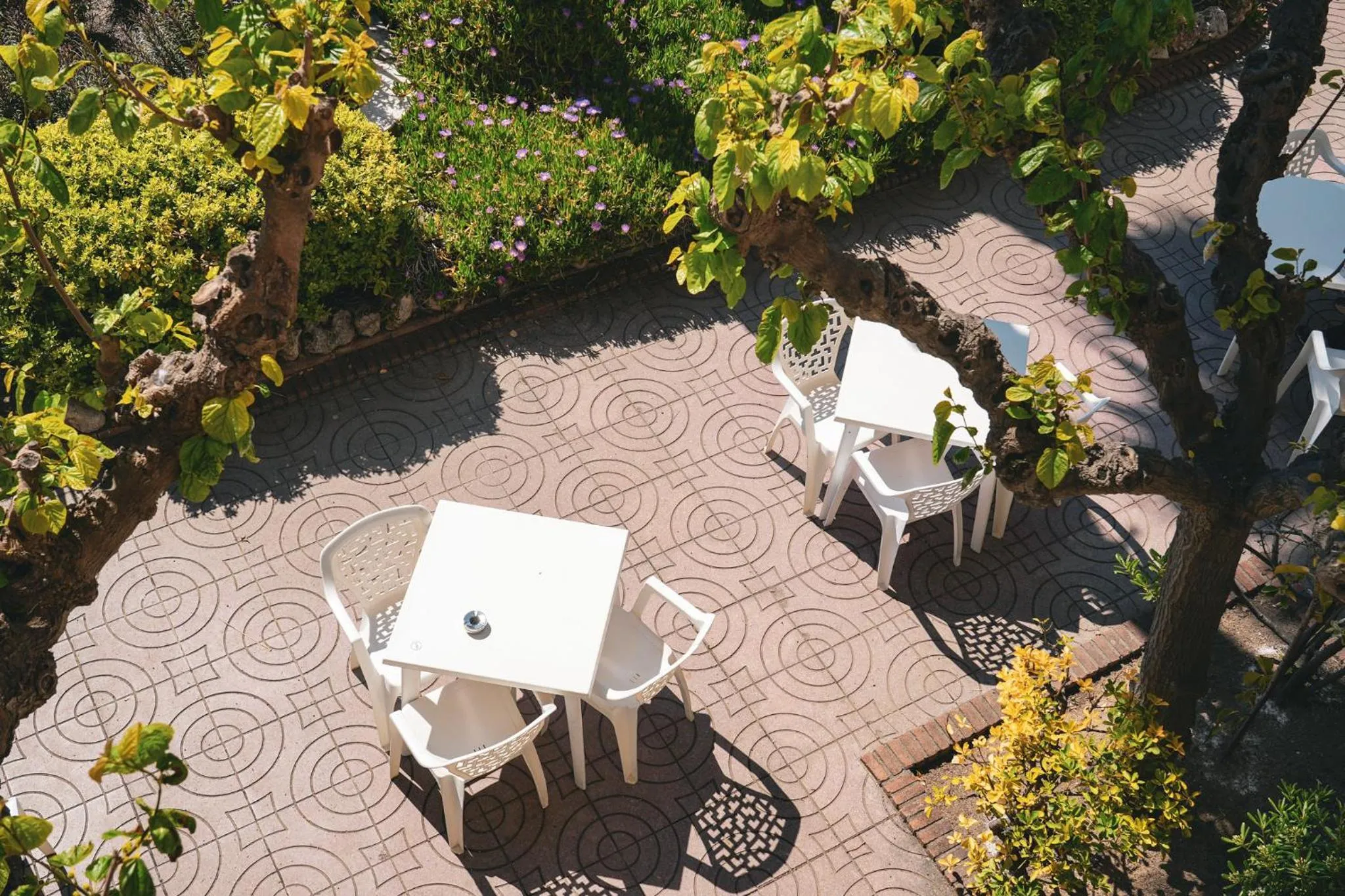 Property building in htop Royal Sun #htopFun