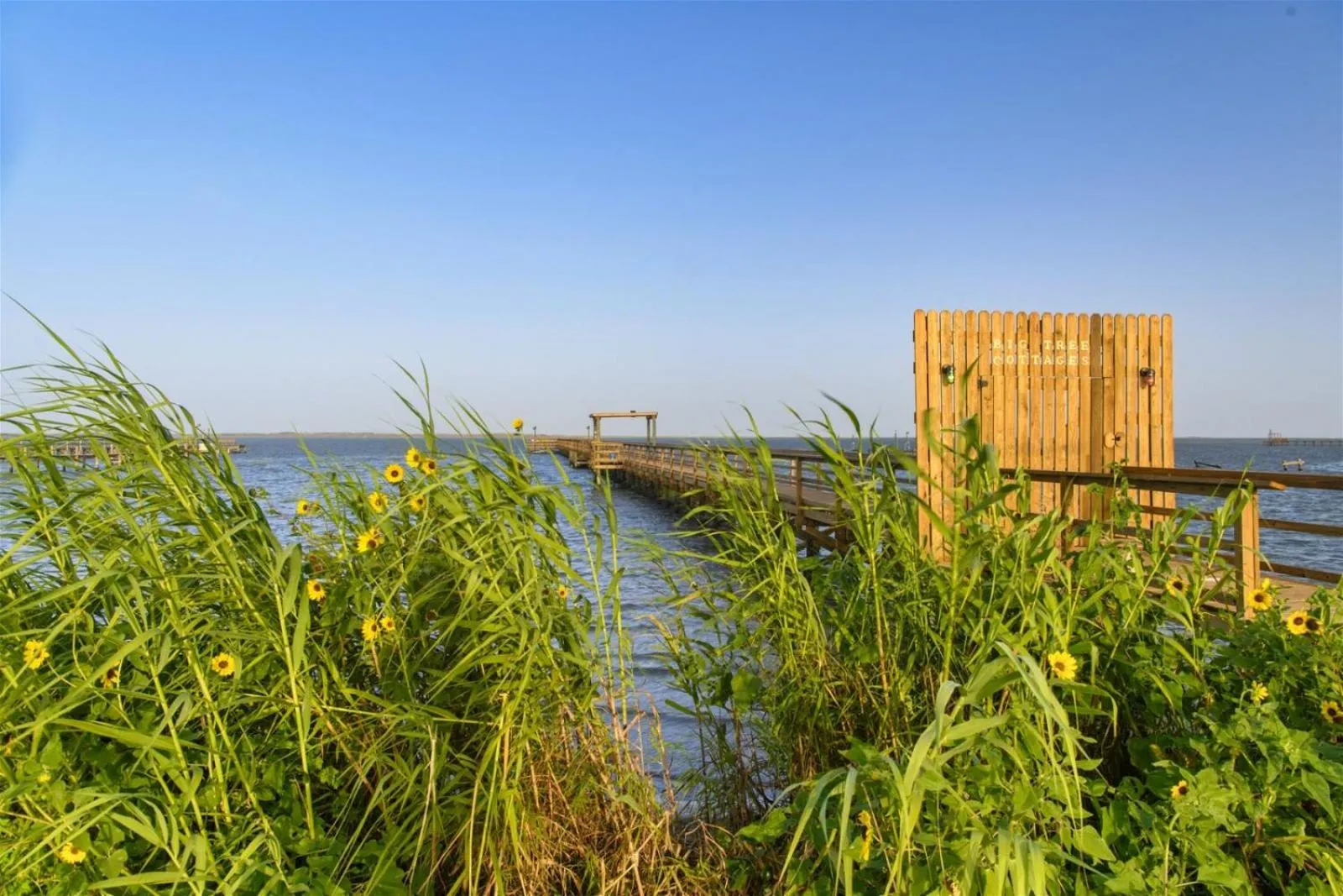 Property building in Yellow Warbler A