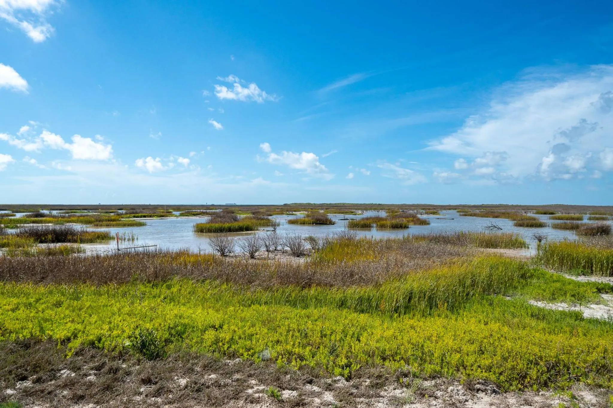 Property building in Birds on the Bay