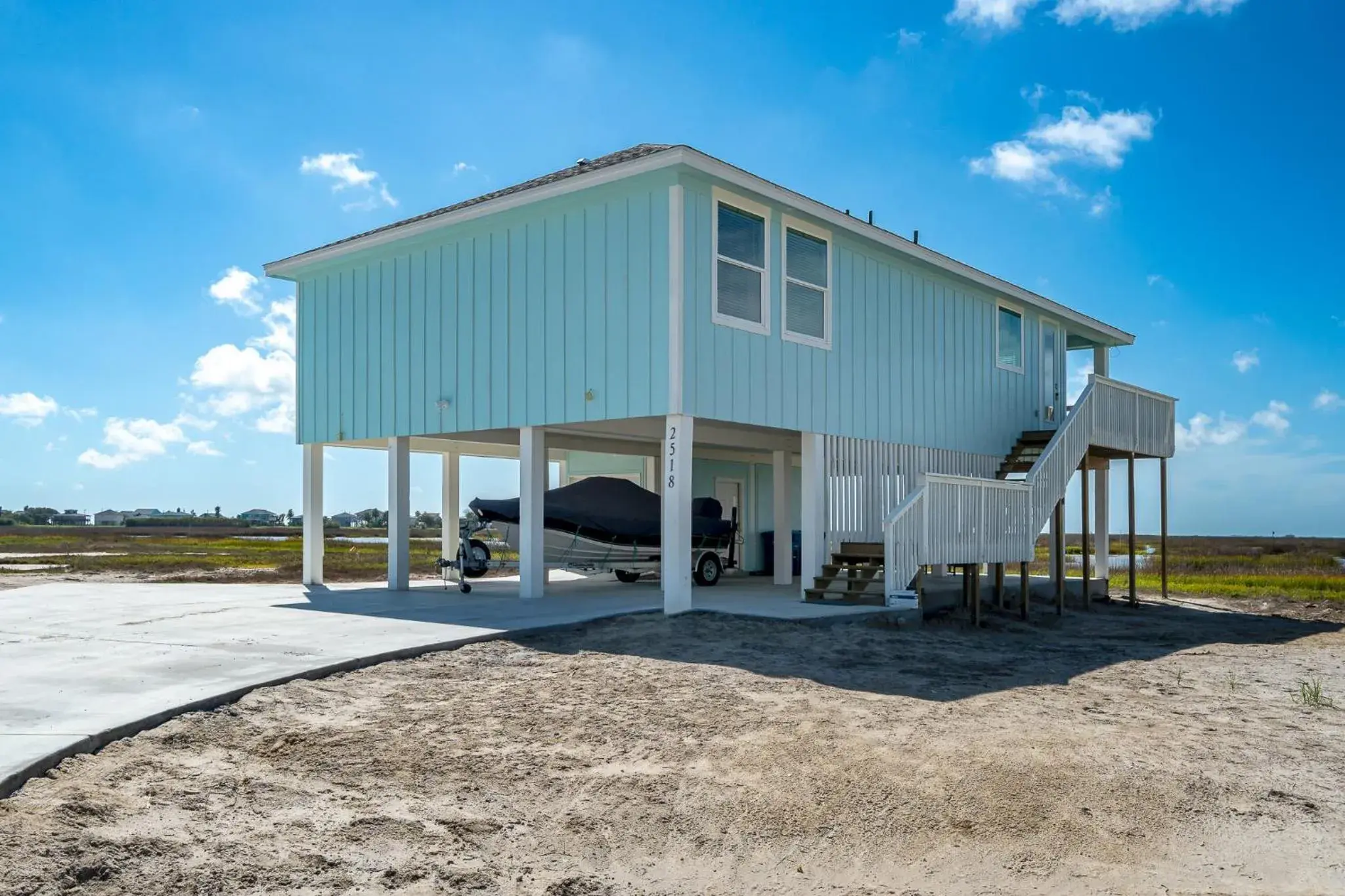 Birds on the Bay Birds on the Bay