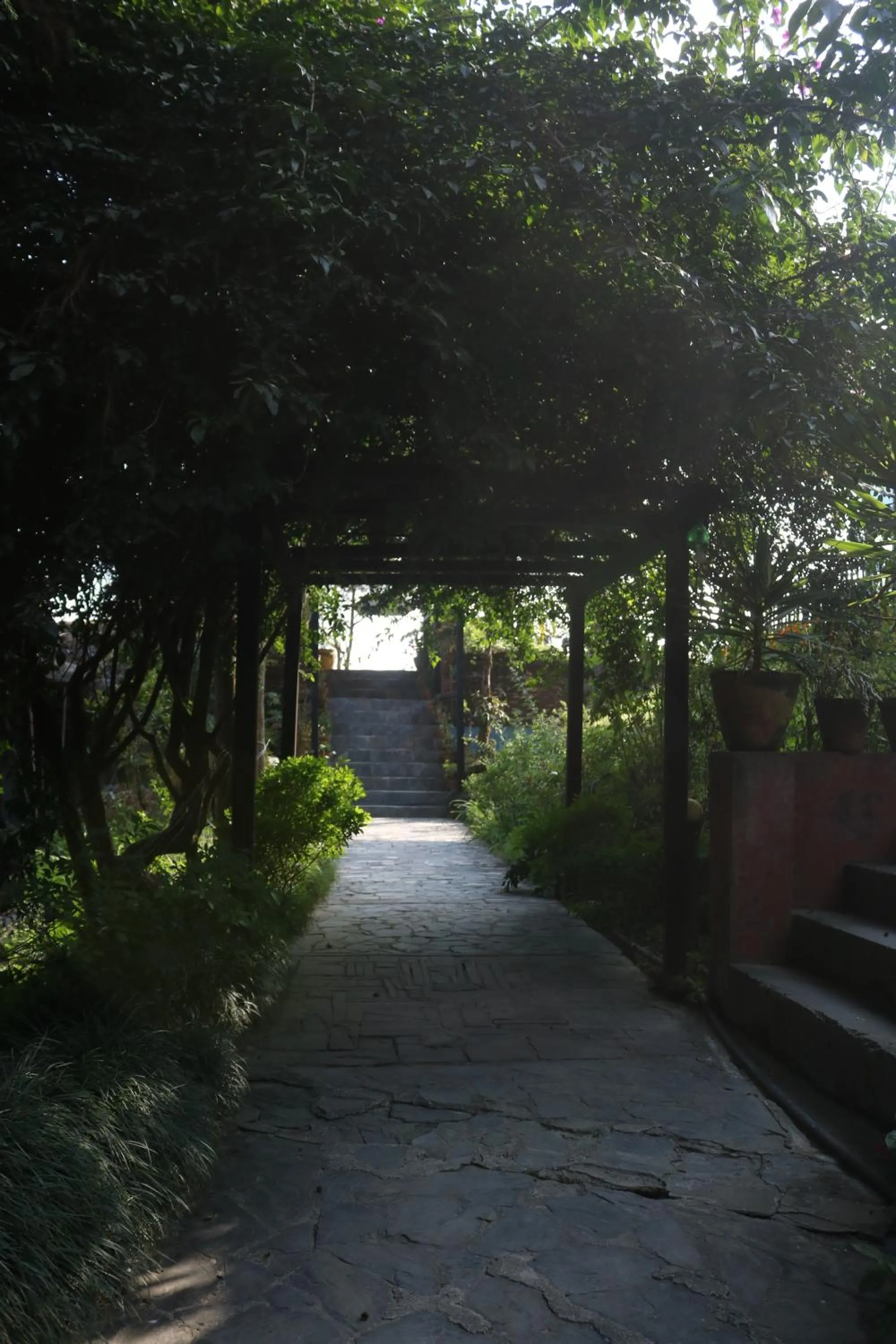 Property building in Hotel Chautari pvt ltd