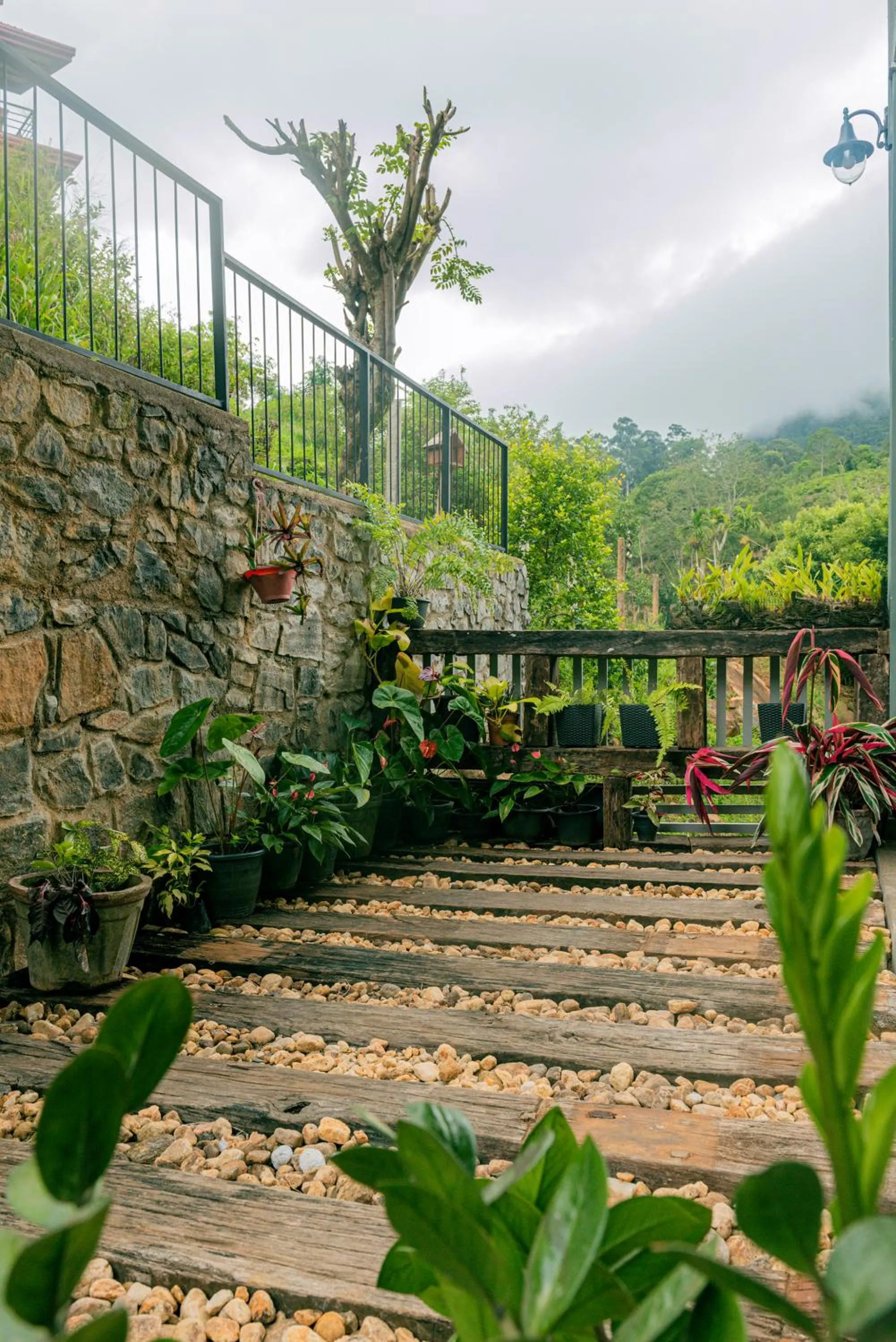 Garden in Kithal Ella Station Resort