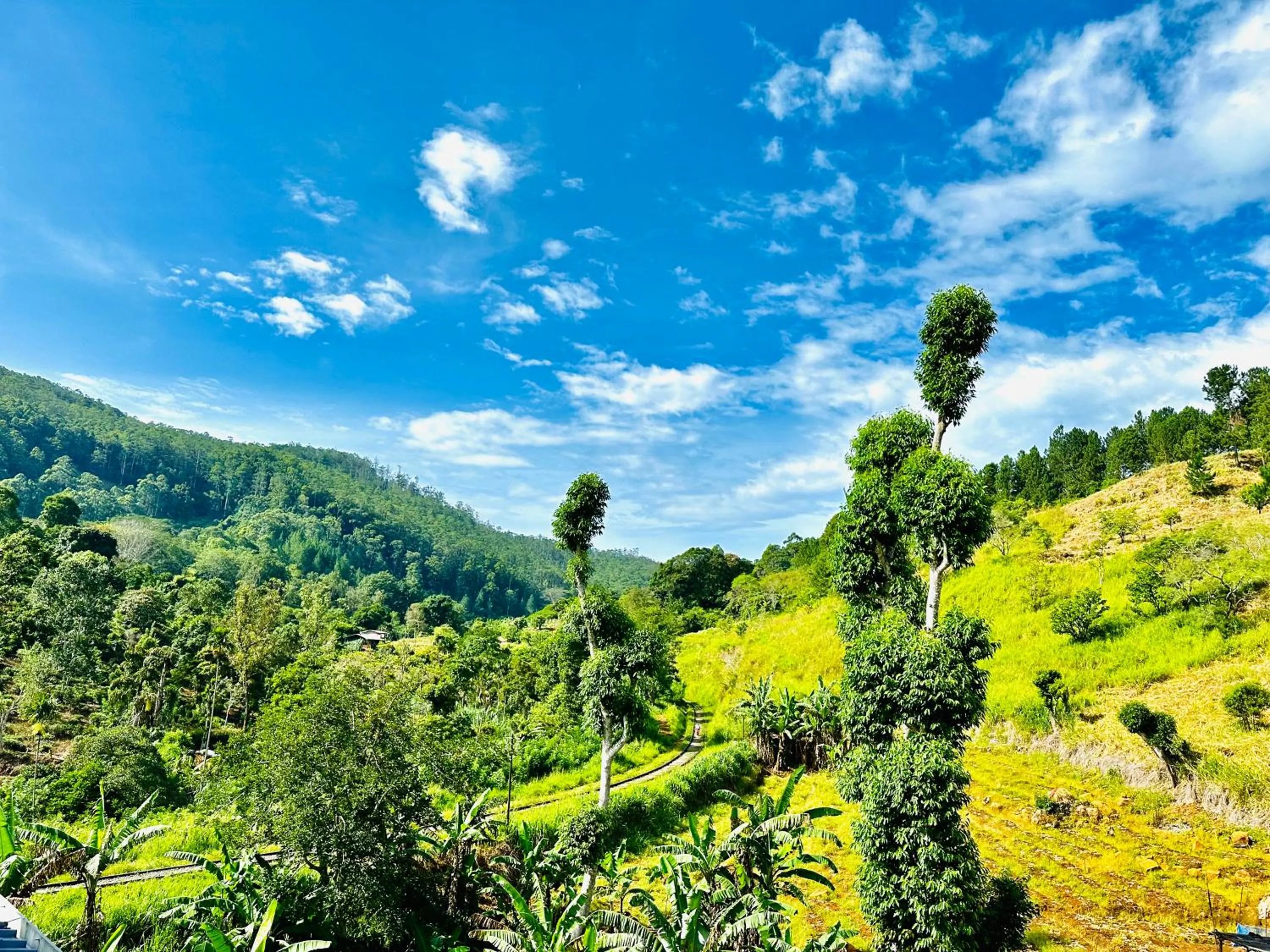 View (from property/room) in Kithal Ella Station Resort