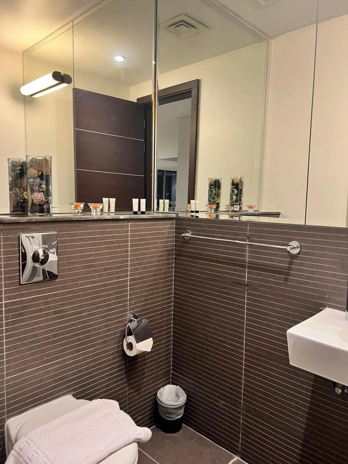 Toilet in Butterfly Residence