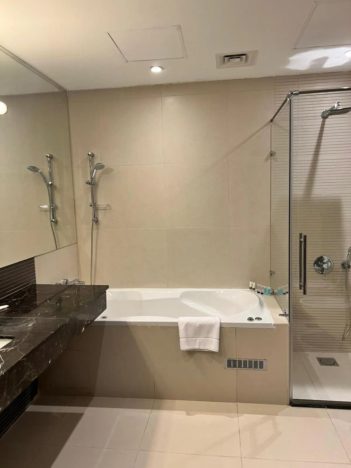 Shower in Butterfly Residence